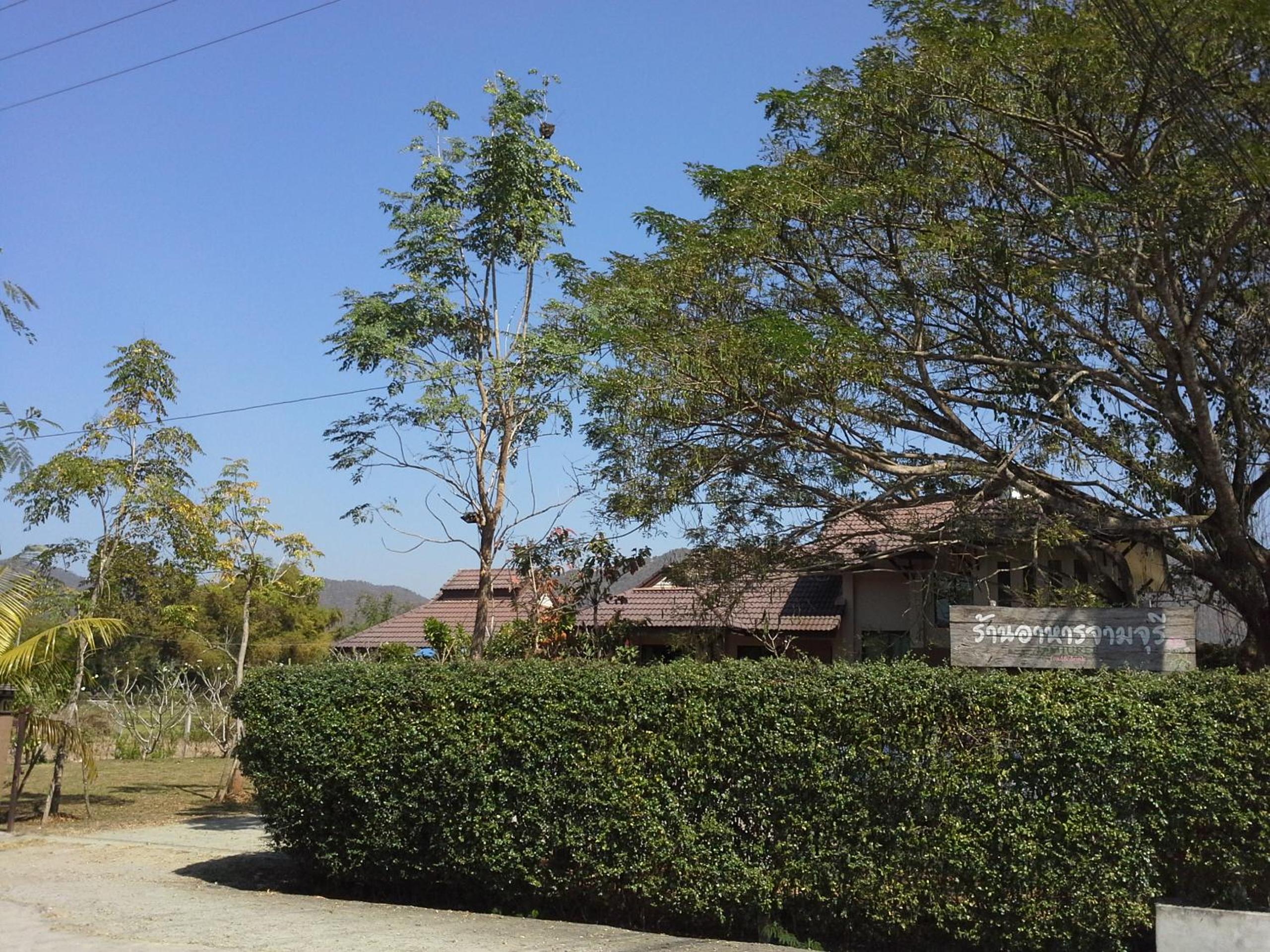 Jamjuree Garden