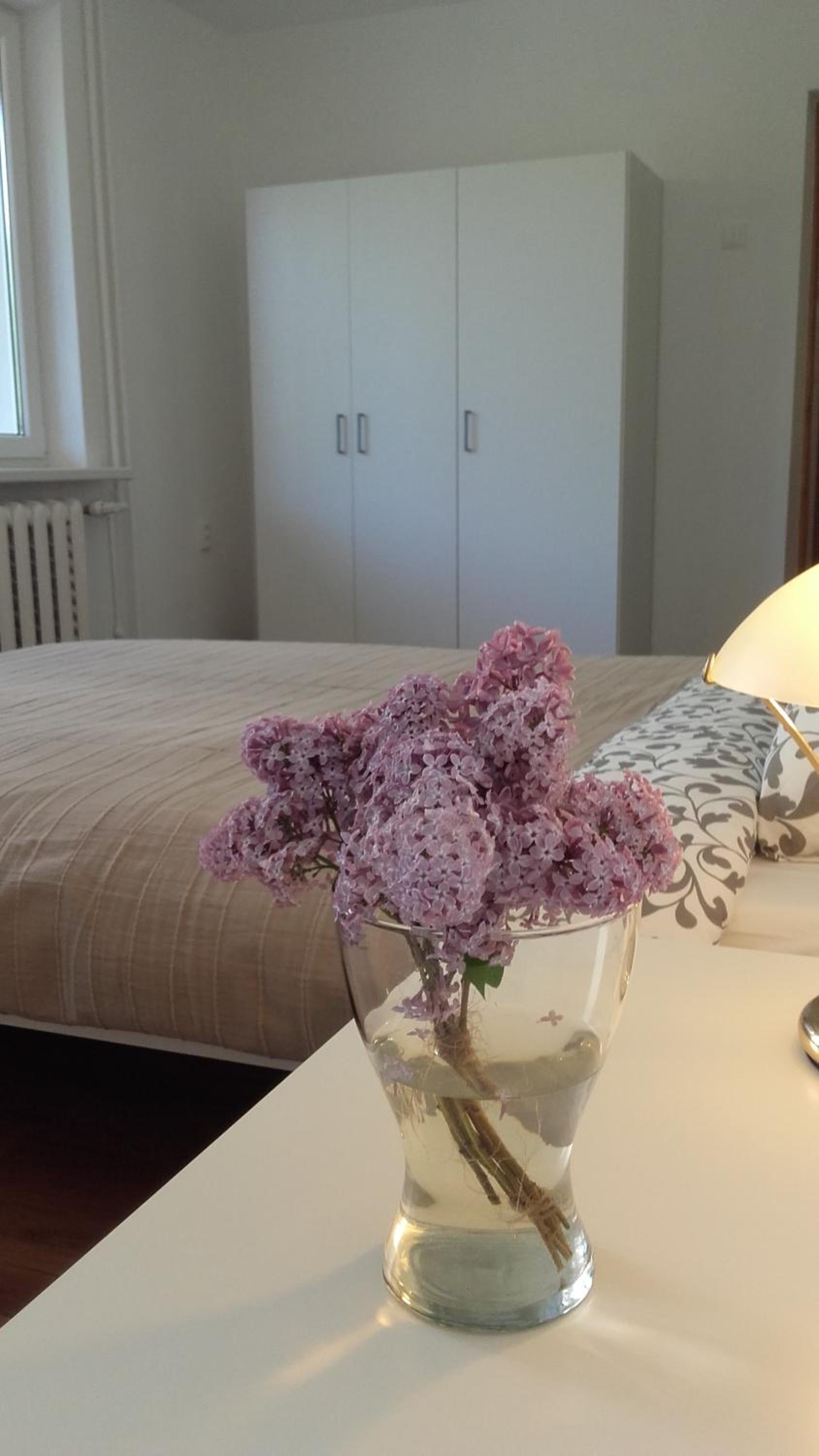 Trakai White Apartments view 2