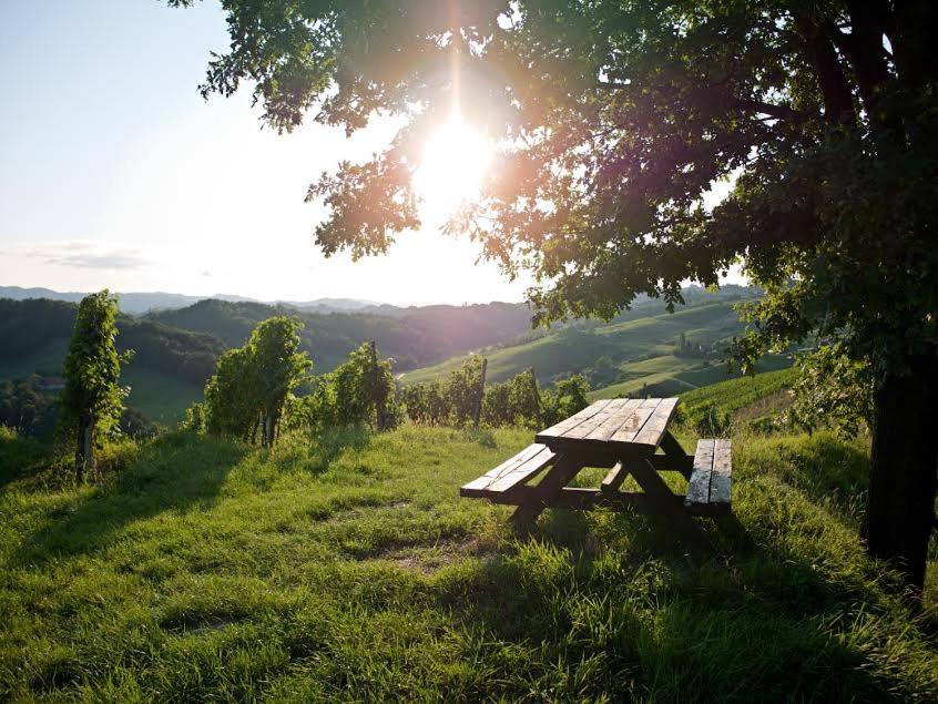 Holiday Home Winzerhaus Eva, photo 9