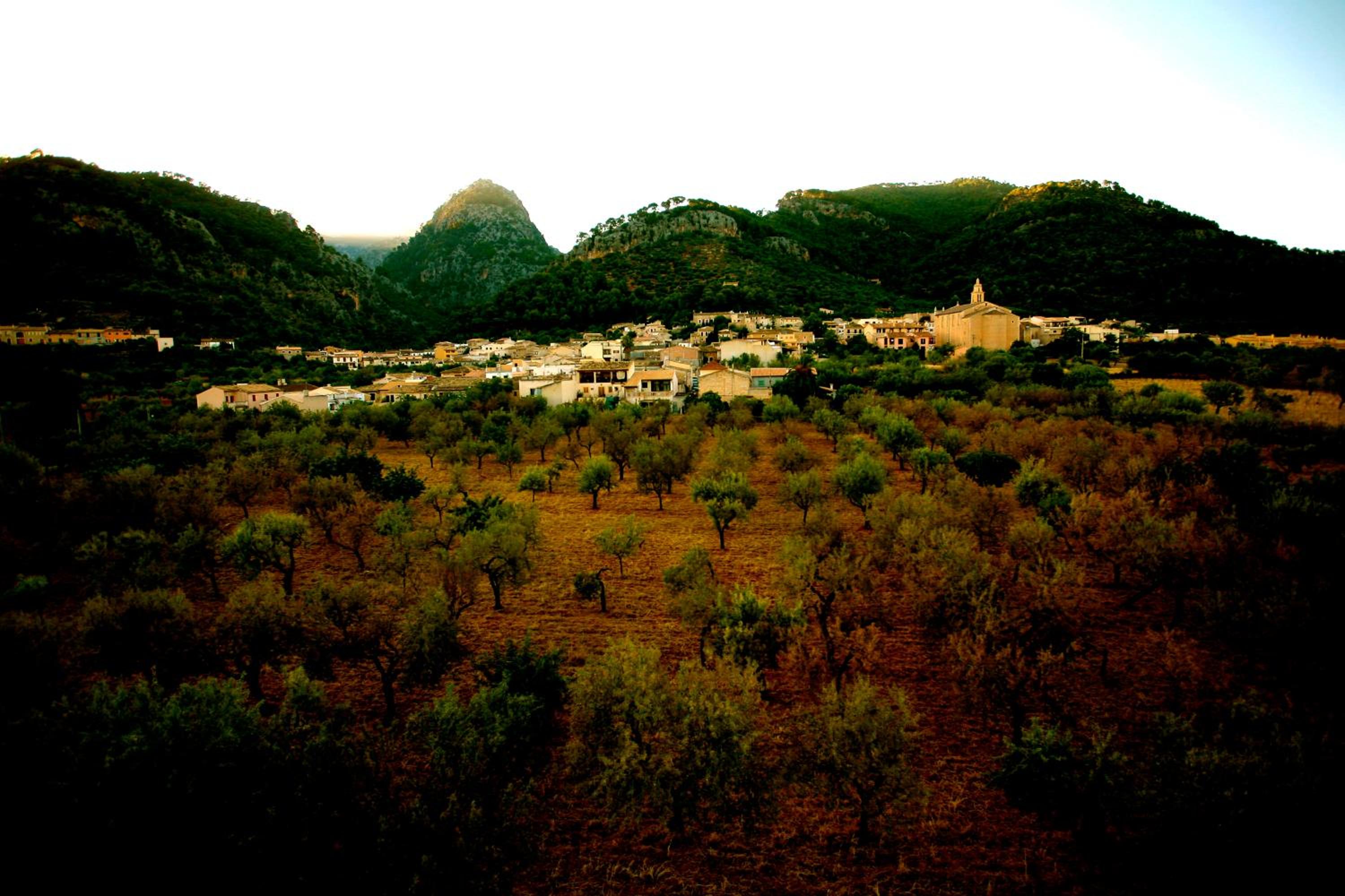 Photo 24