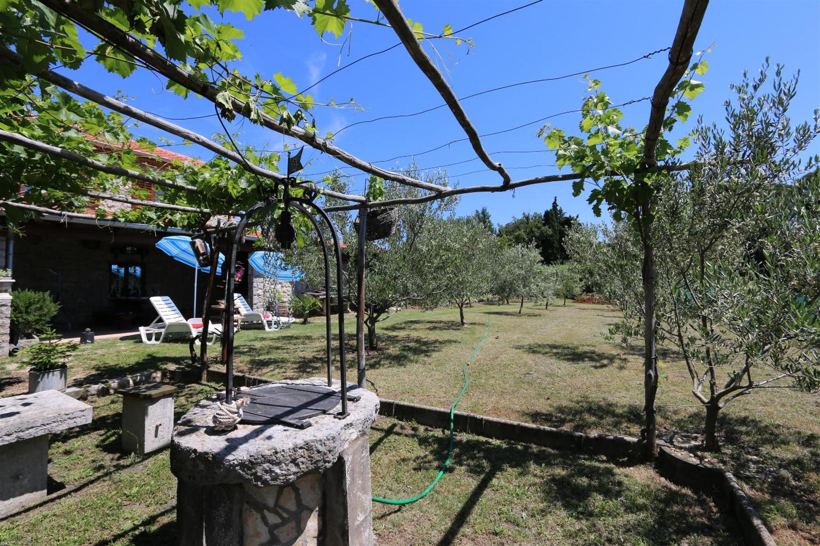House Vidak view 3