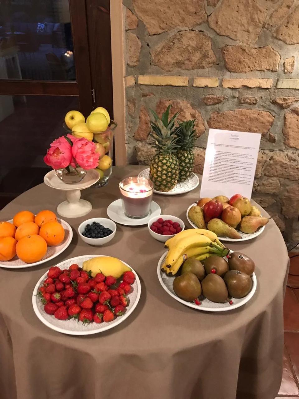 Il Casale degli Ulivi - Agriturismo - TENIMENTI LEONE