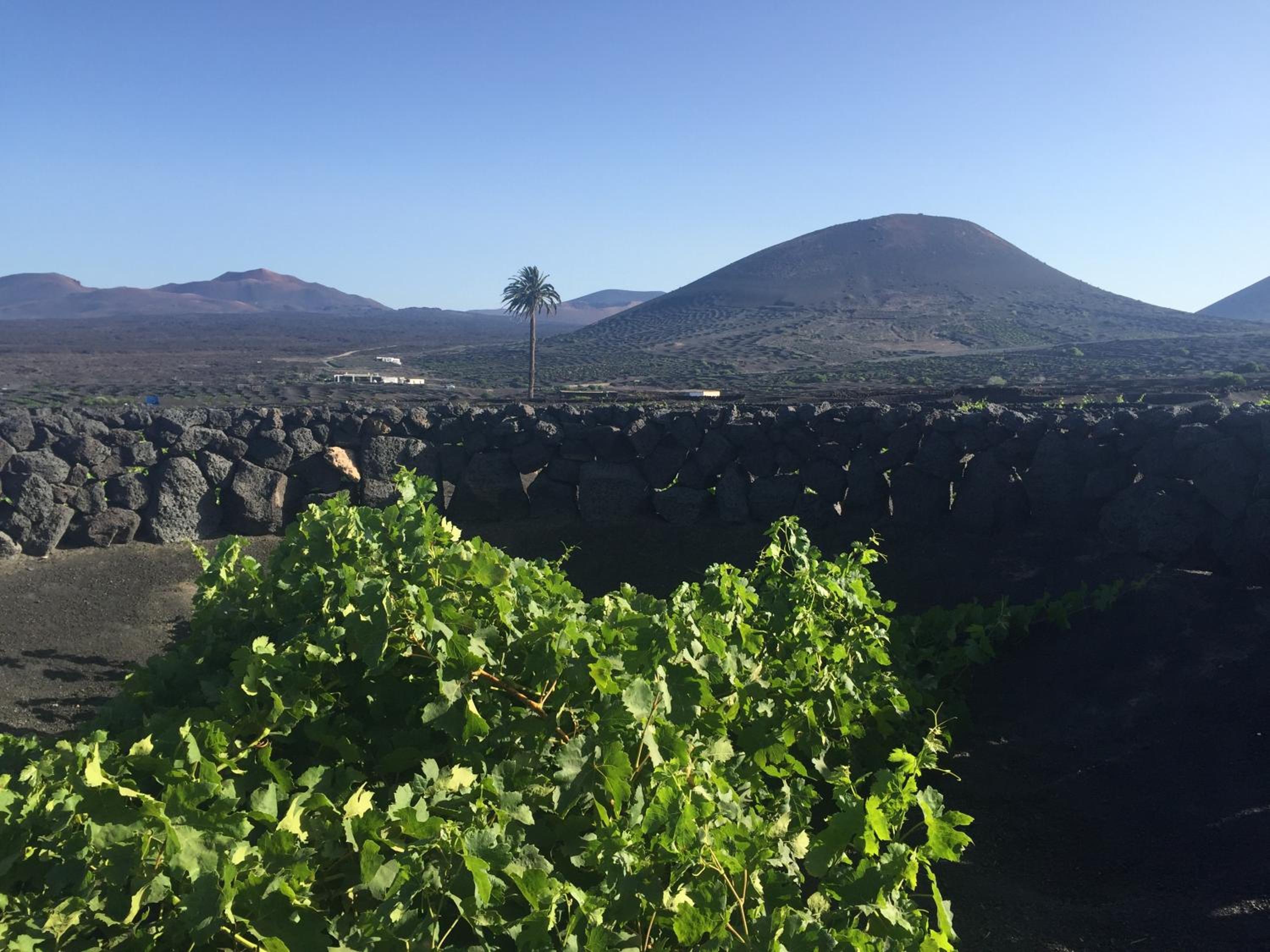 Casa Andrés photo 2