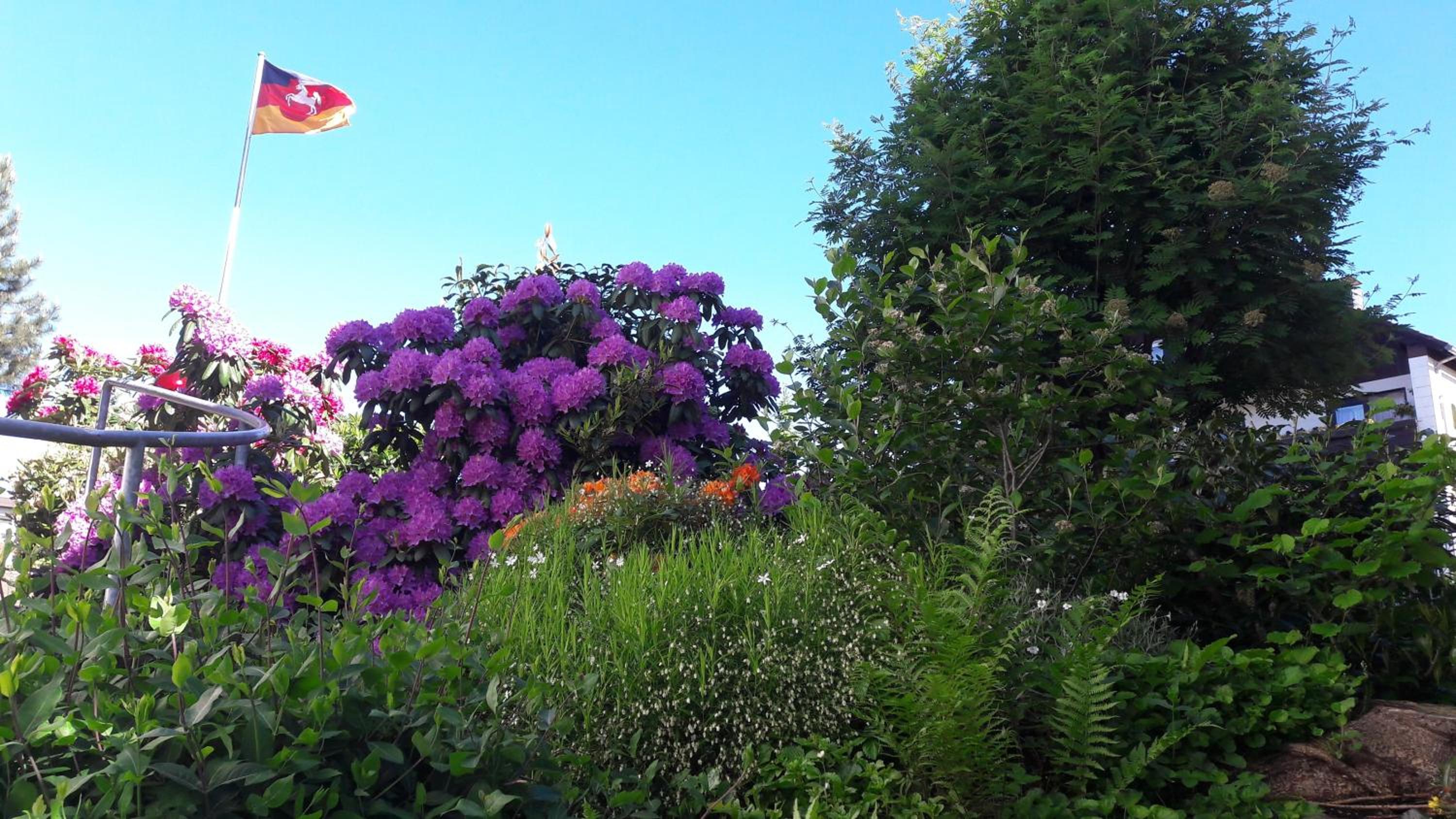 Photo 25