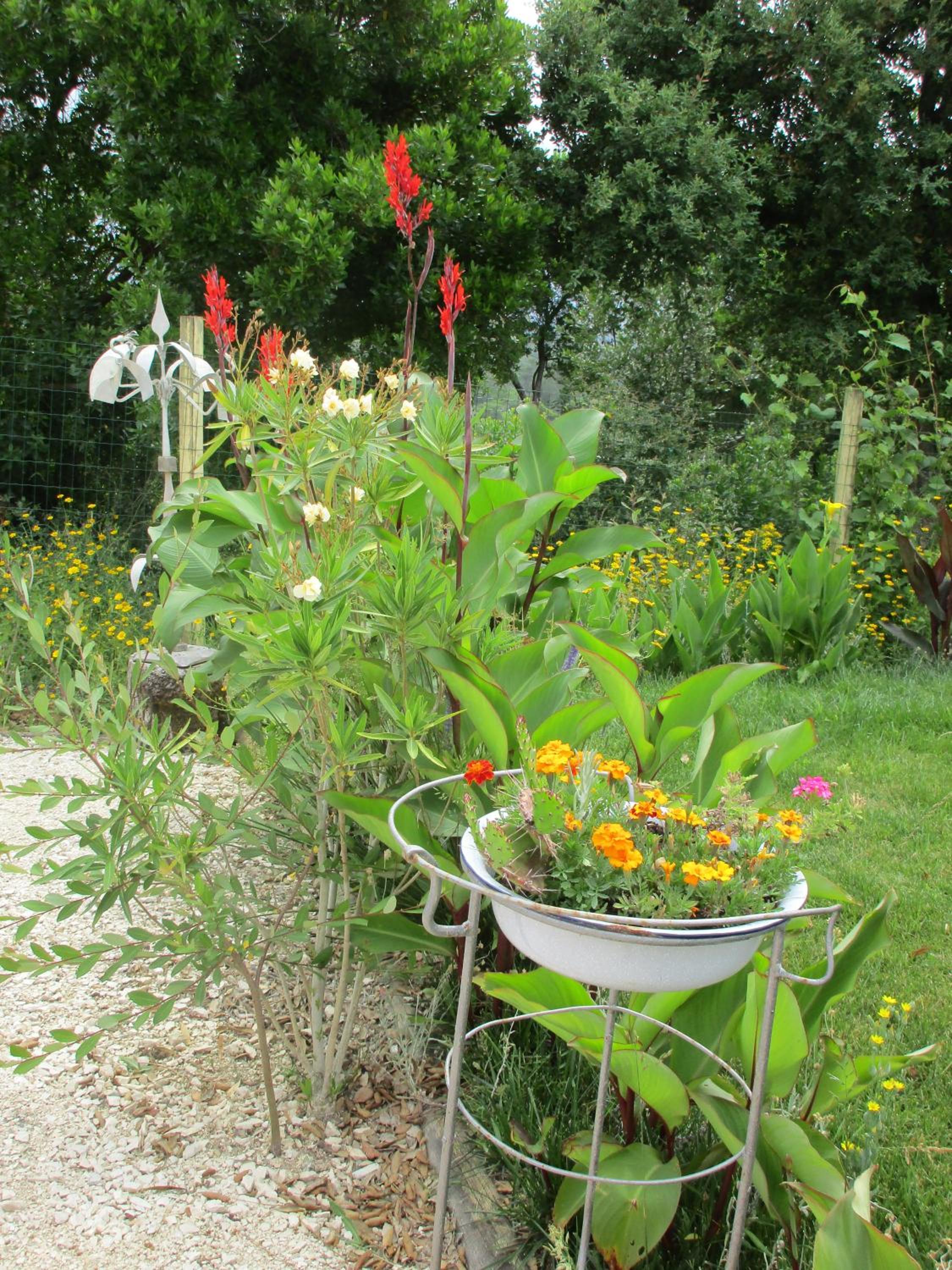 Photo 41