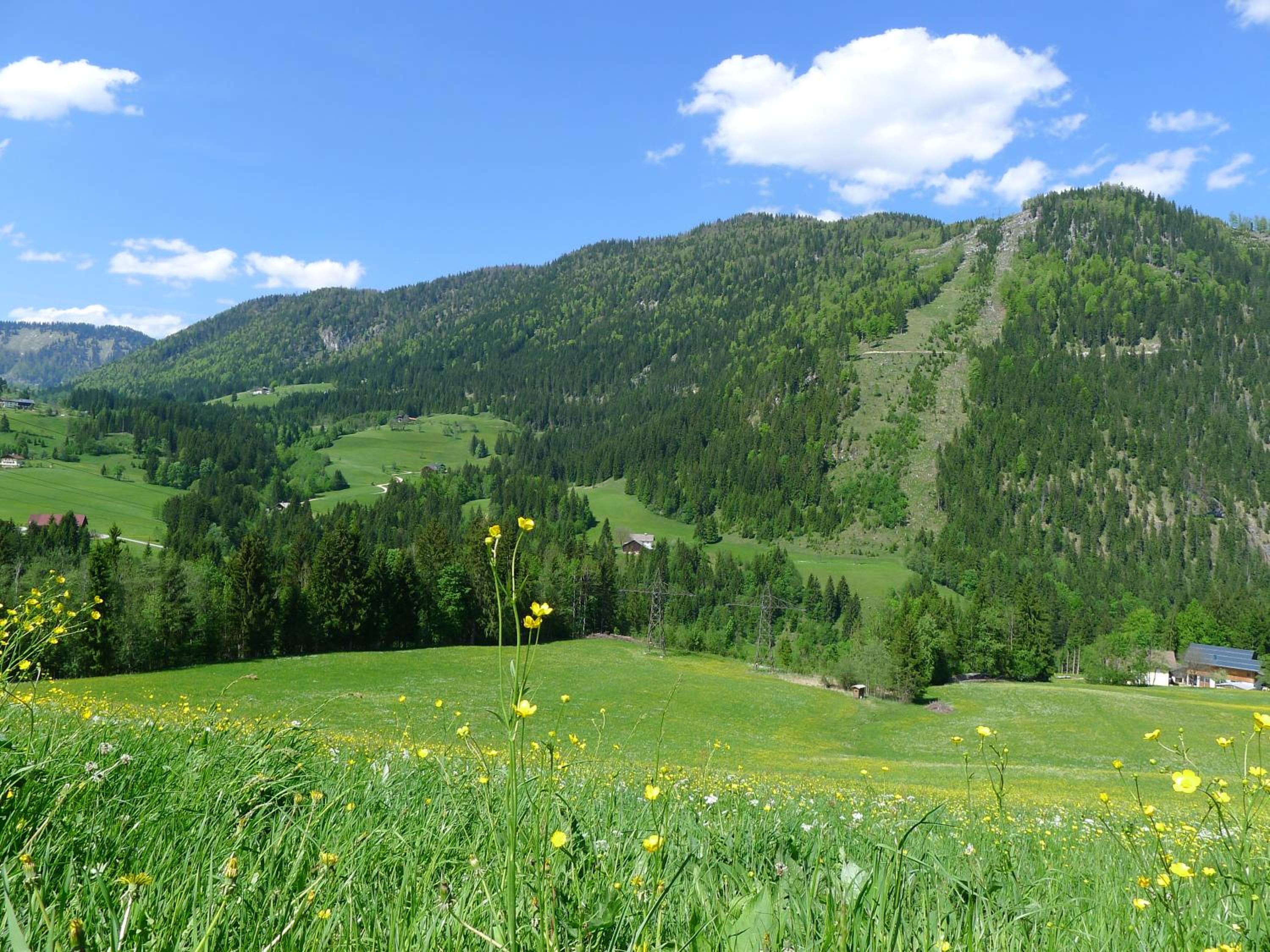 Alpenhaus Dachstein.Zauber