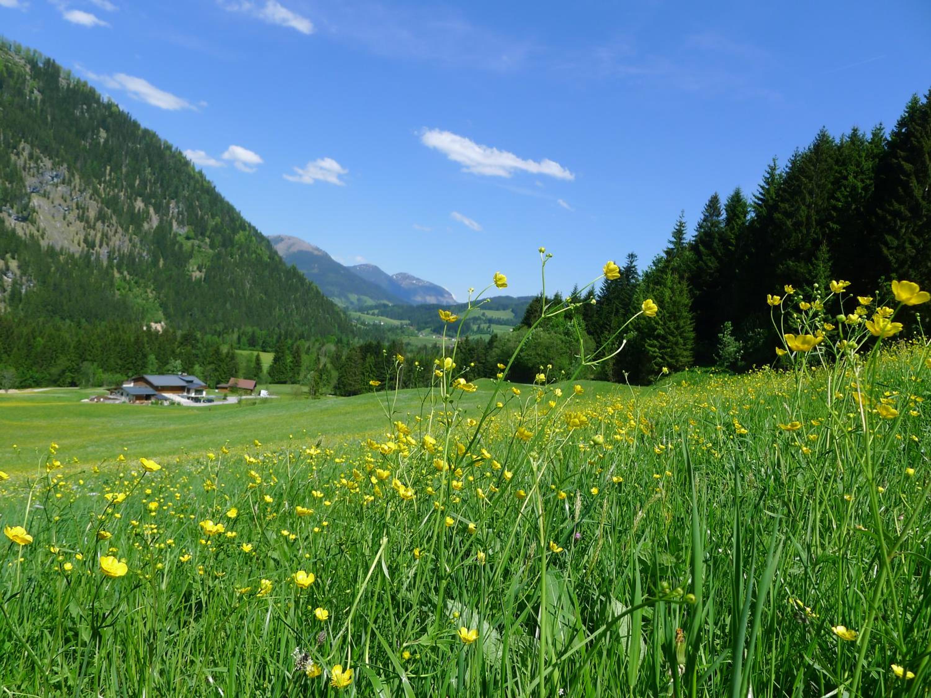 Alpenhaus Dachstein.Zauber