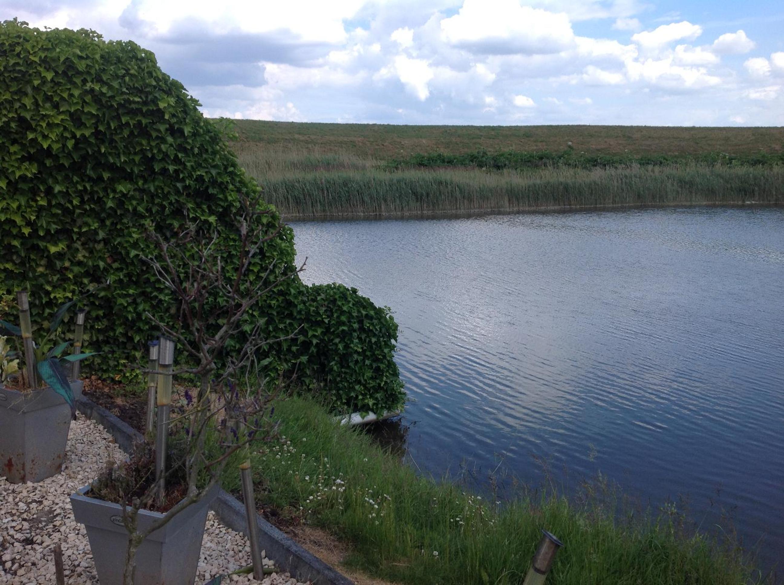 Photo 42