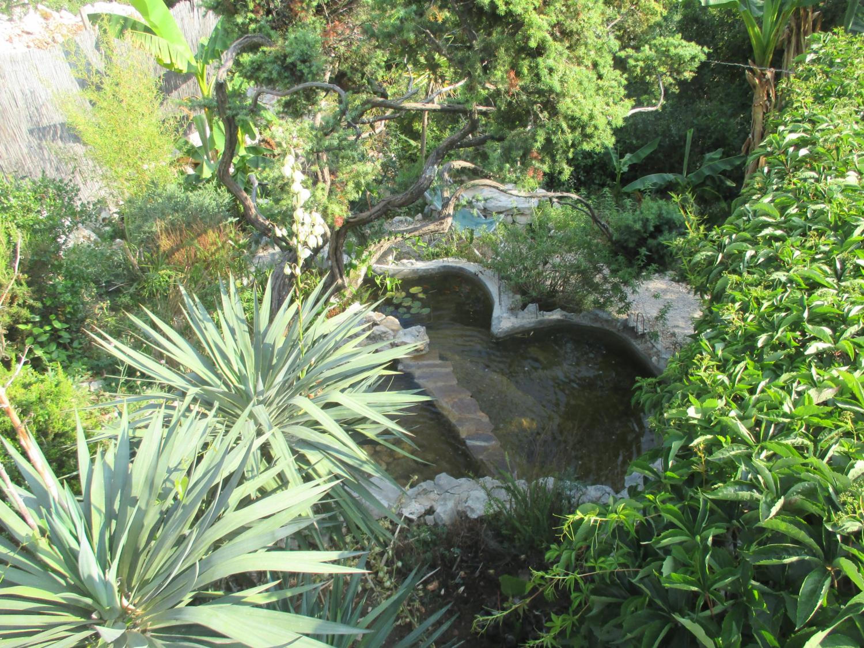 Photo 8