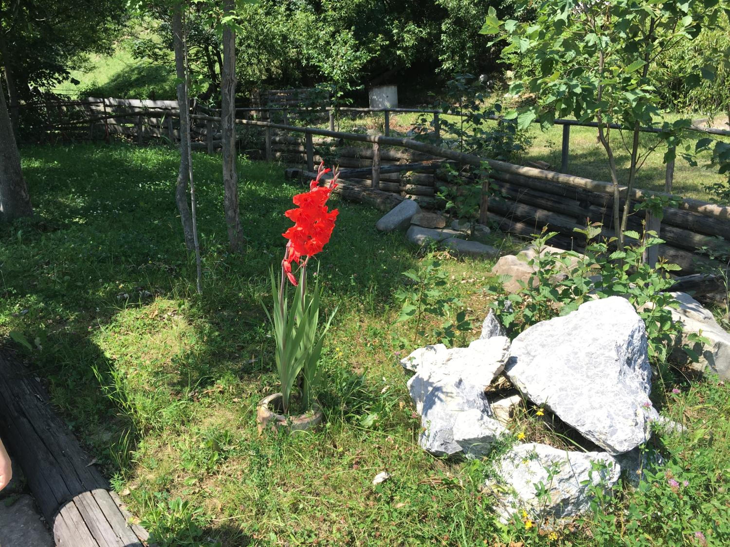 Photo 45