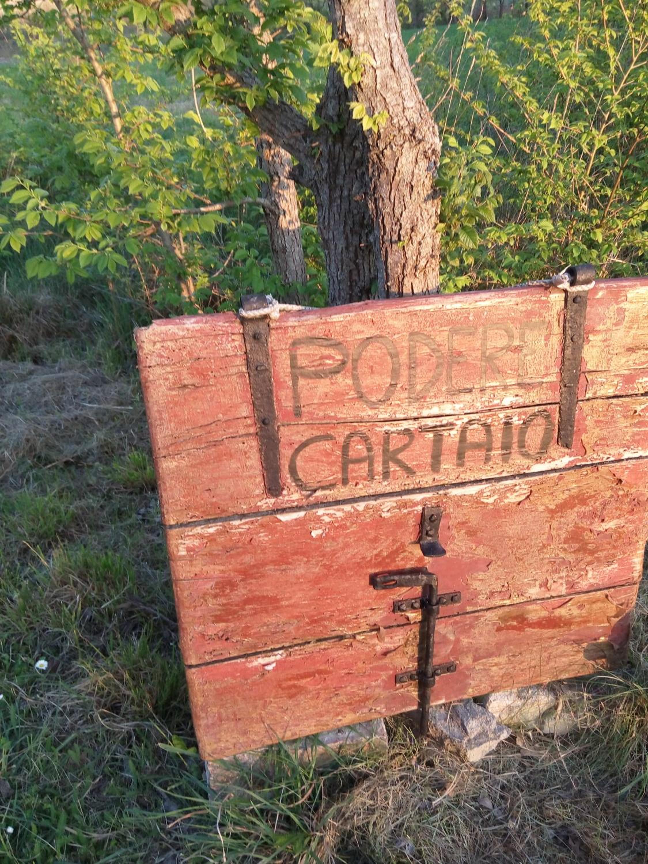 Podere Cartaio Bio Farm, private pool, AirC