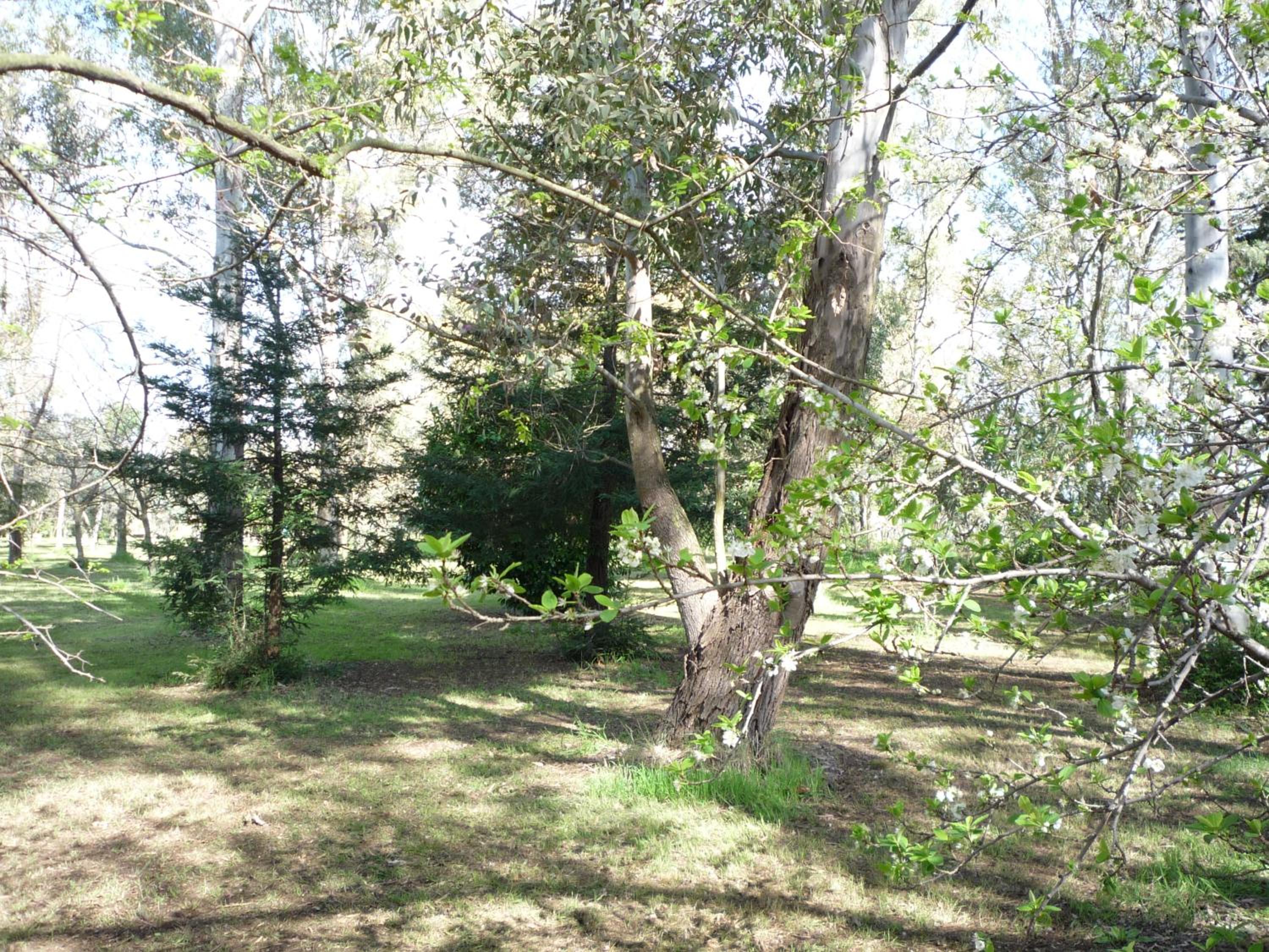 Photo 52