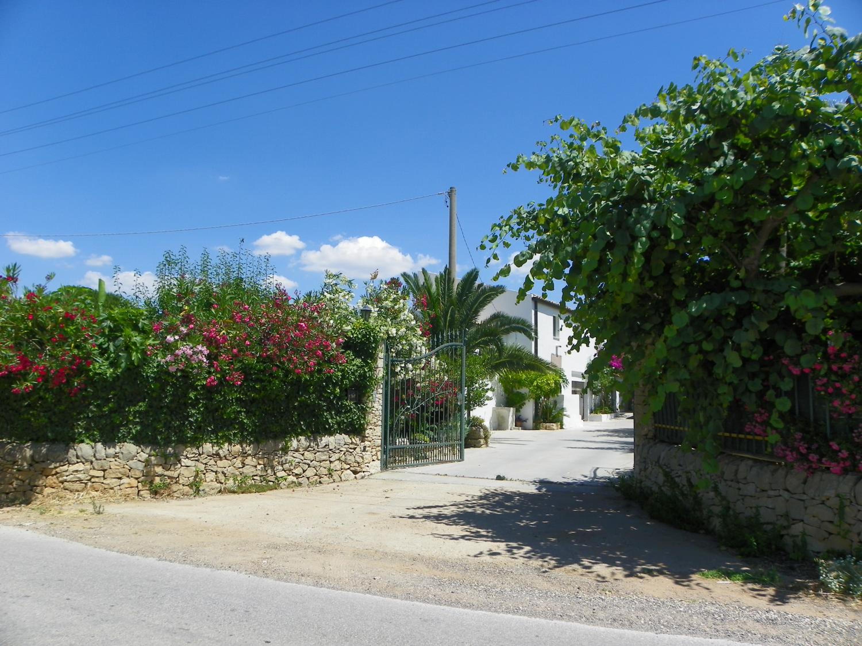 Photo 43