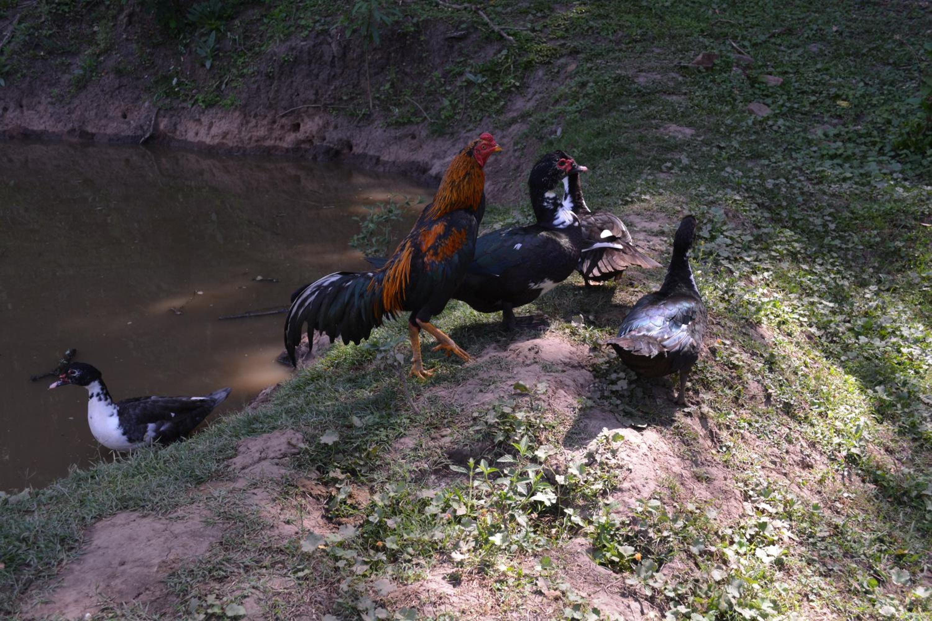 Finca La Colorada