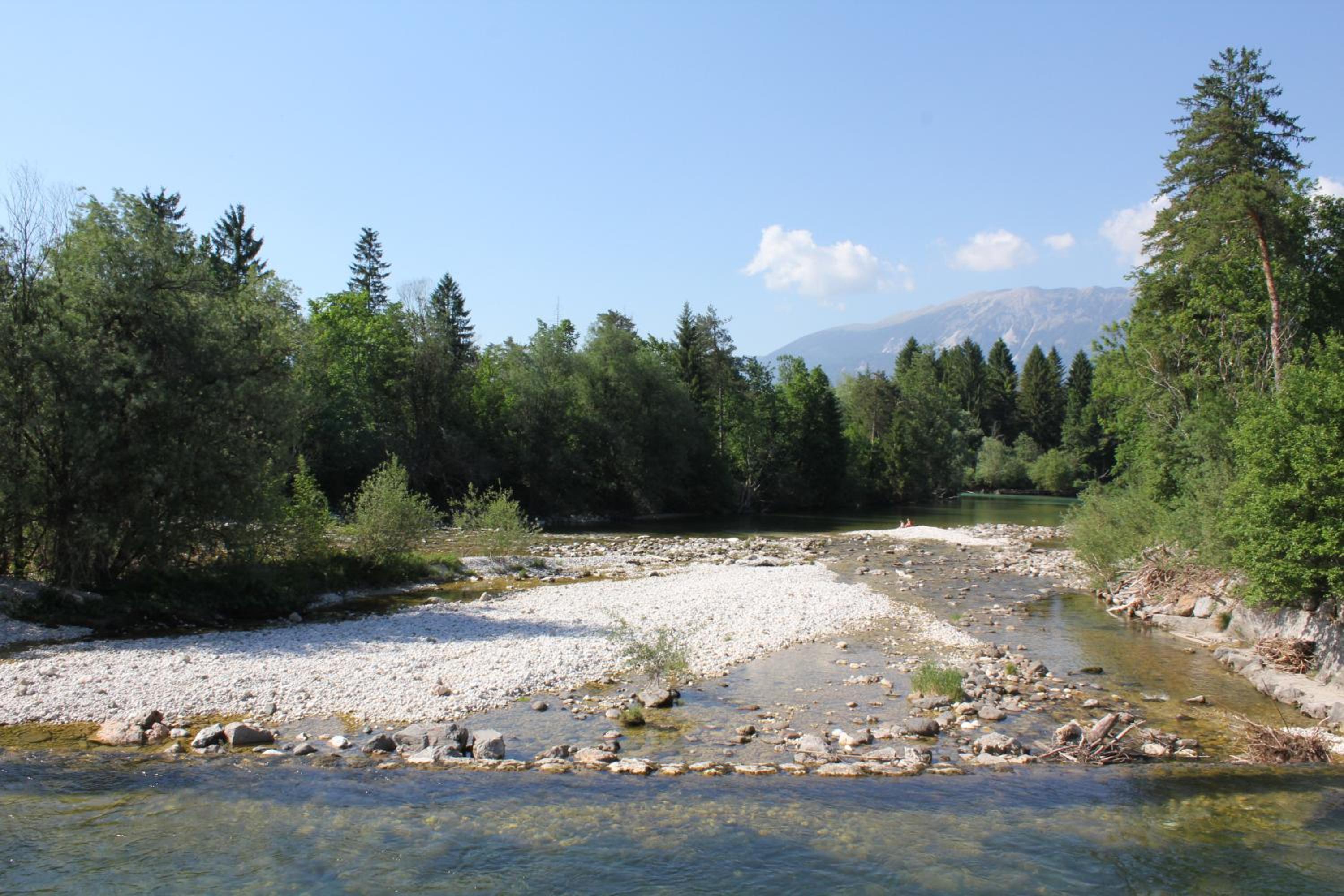Alpes view 4