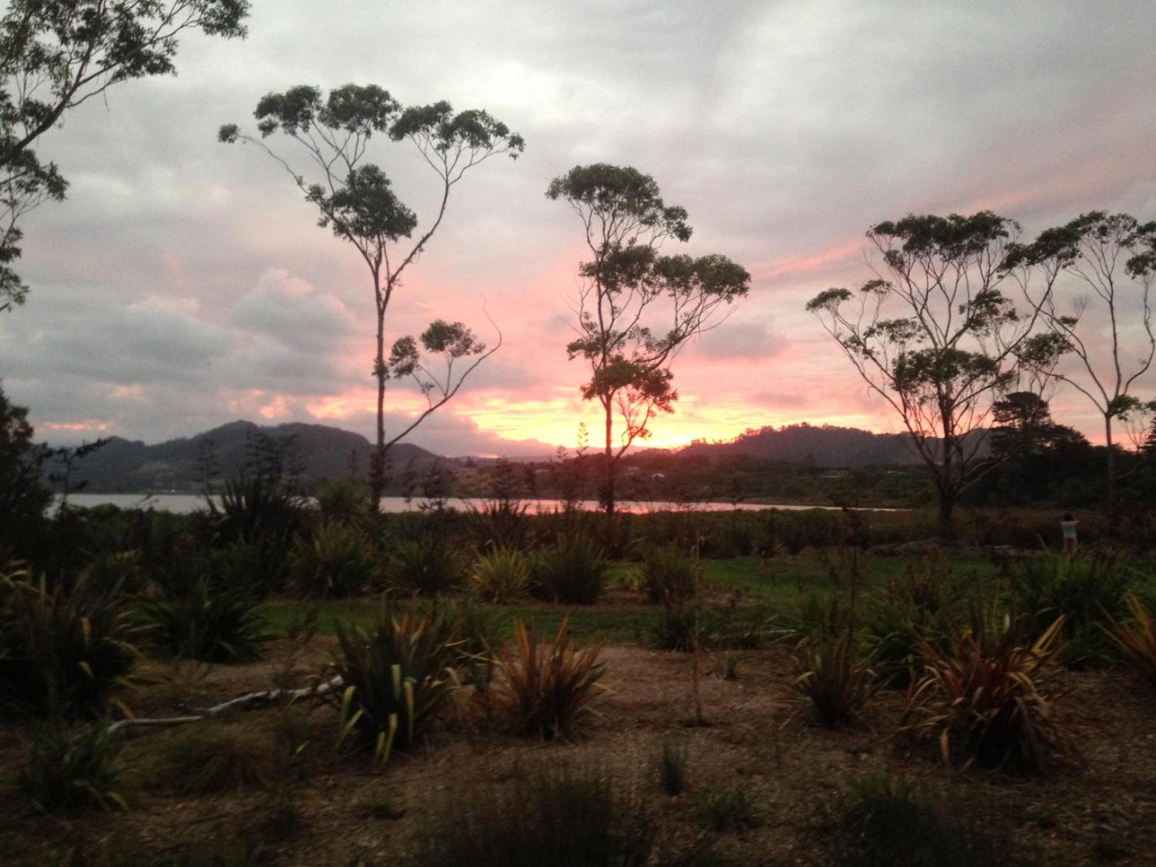 Athenree Hot Springs & Holiday Park