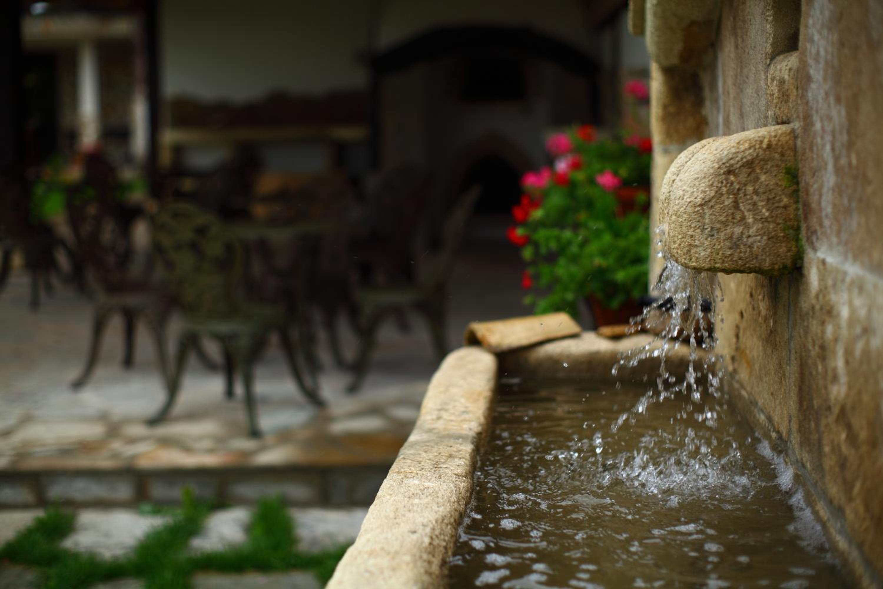 Villa Bulgara Eco