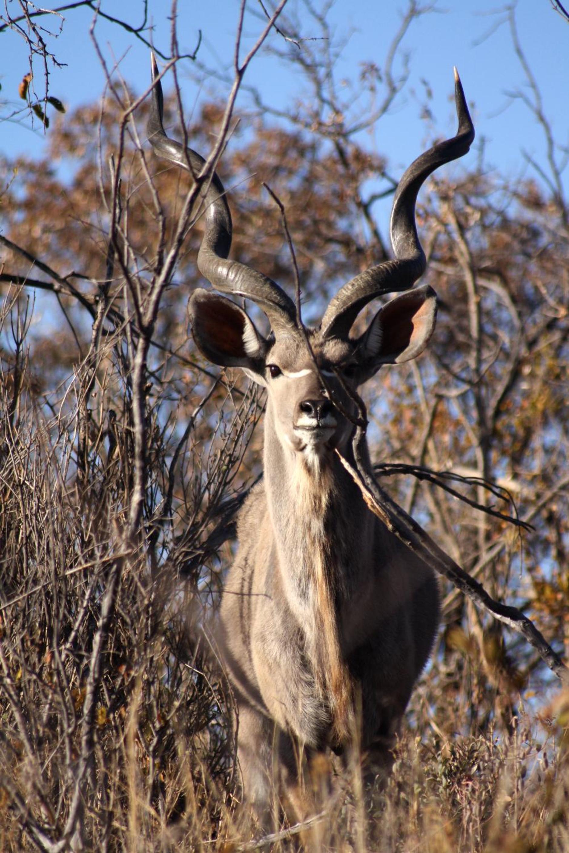 OuKlip Game Lodge