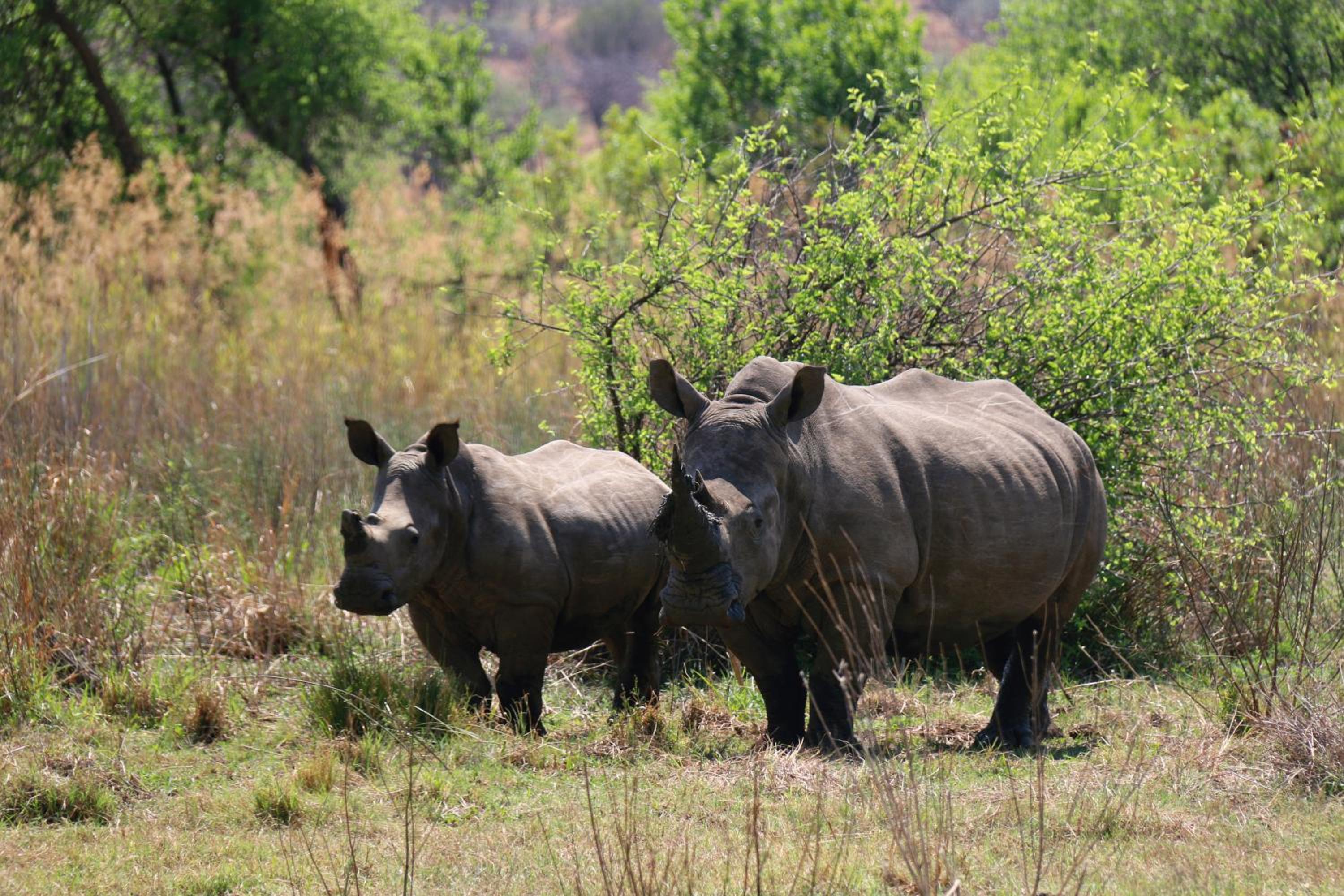 OuKlip Game Lodge