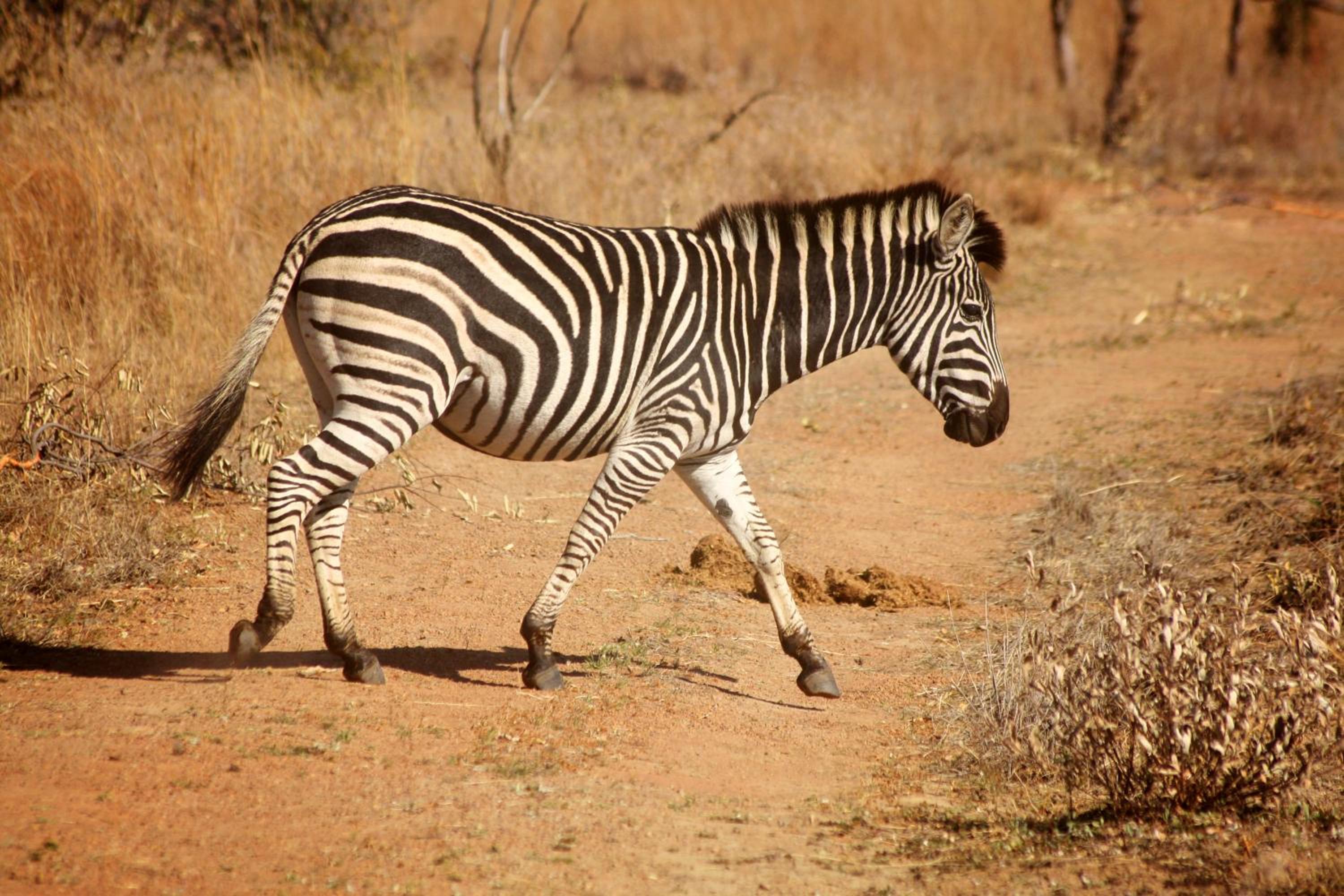 OuKlip Game Lodge