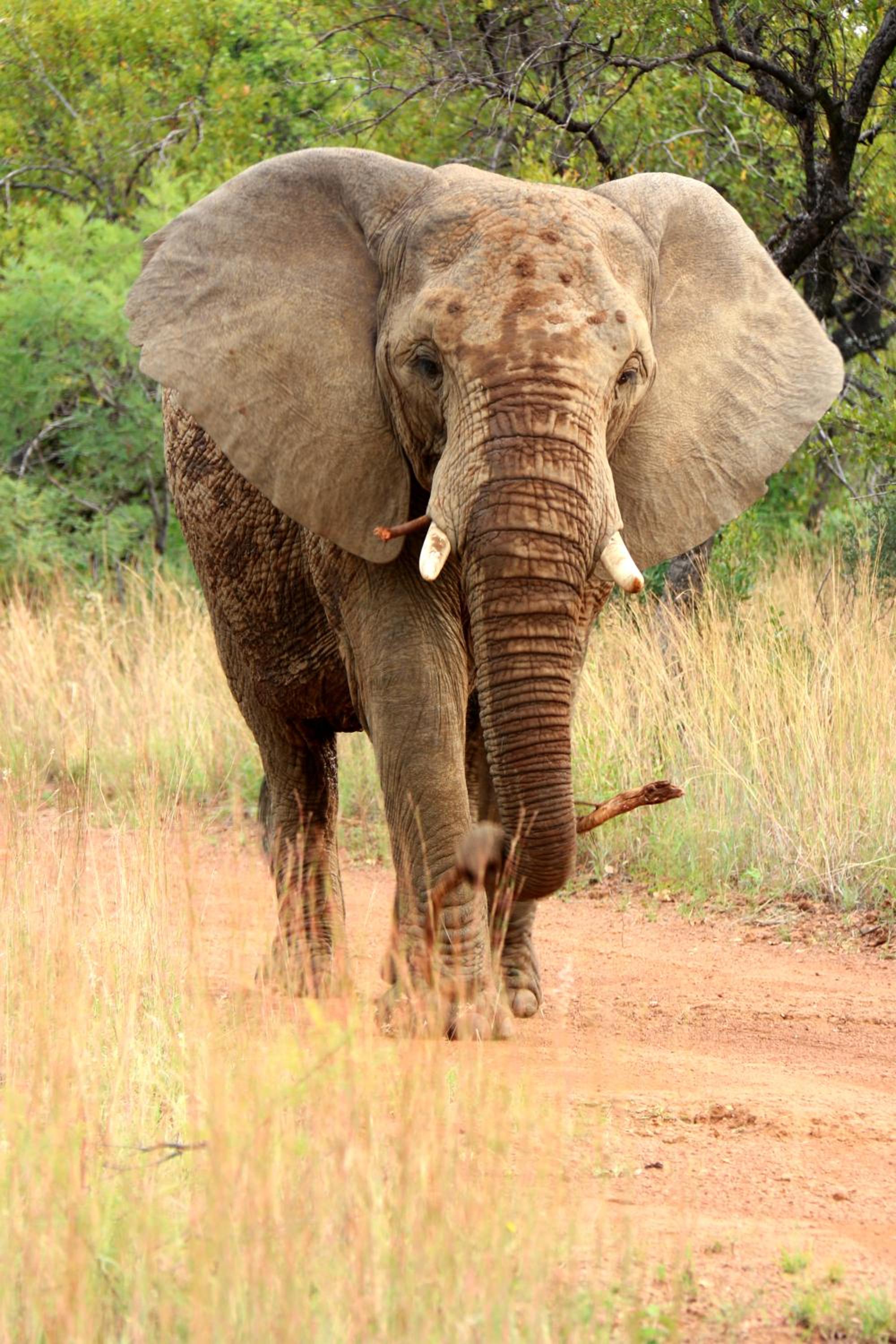 OuKlip Game Lodge
