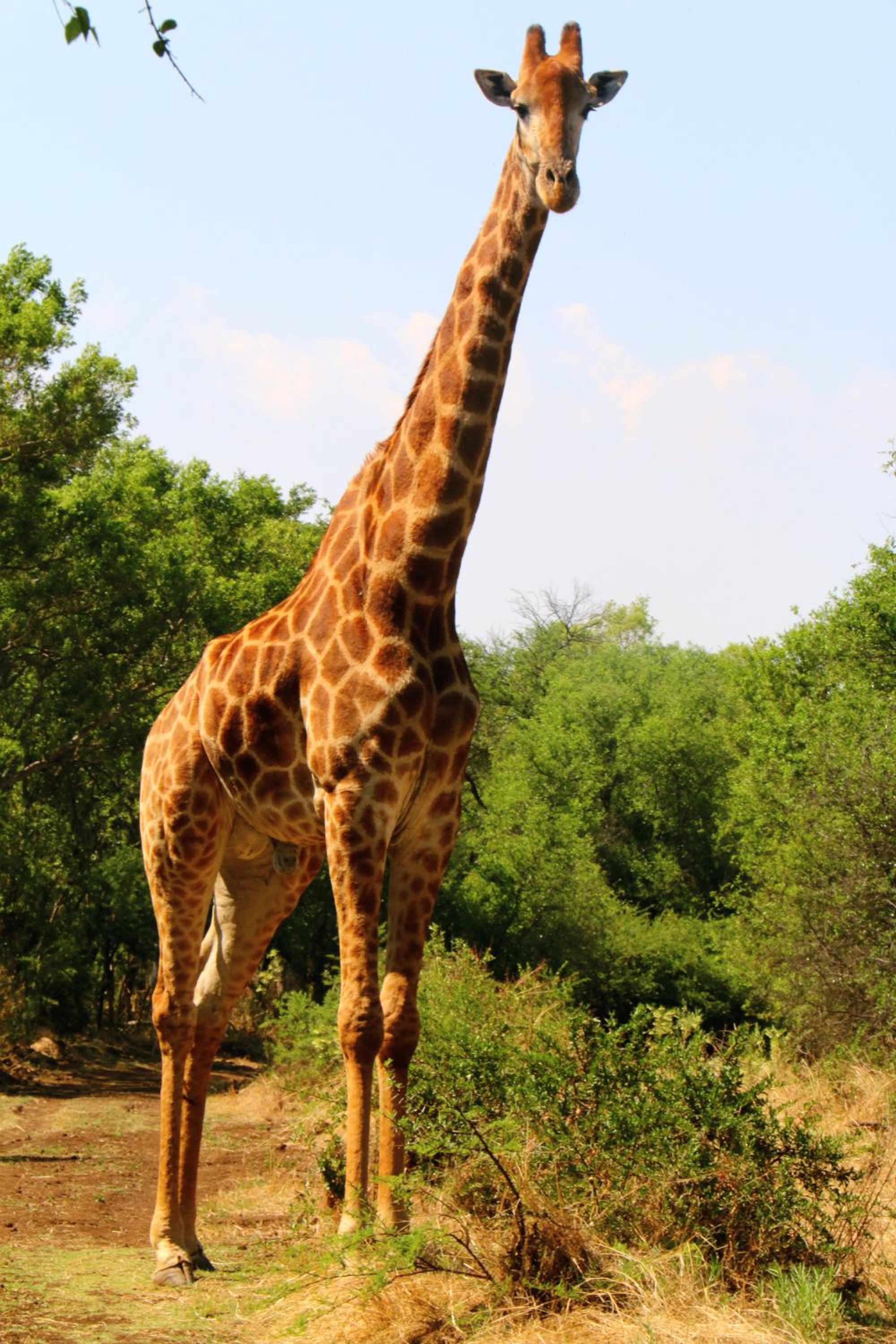 OuKlip Game Lodge