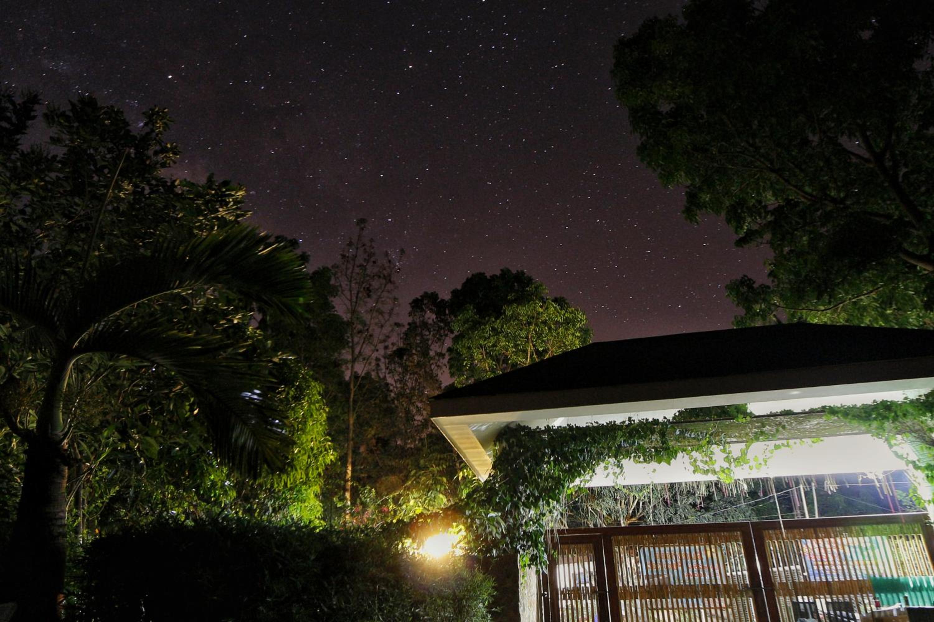 Noni's Resort