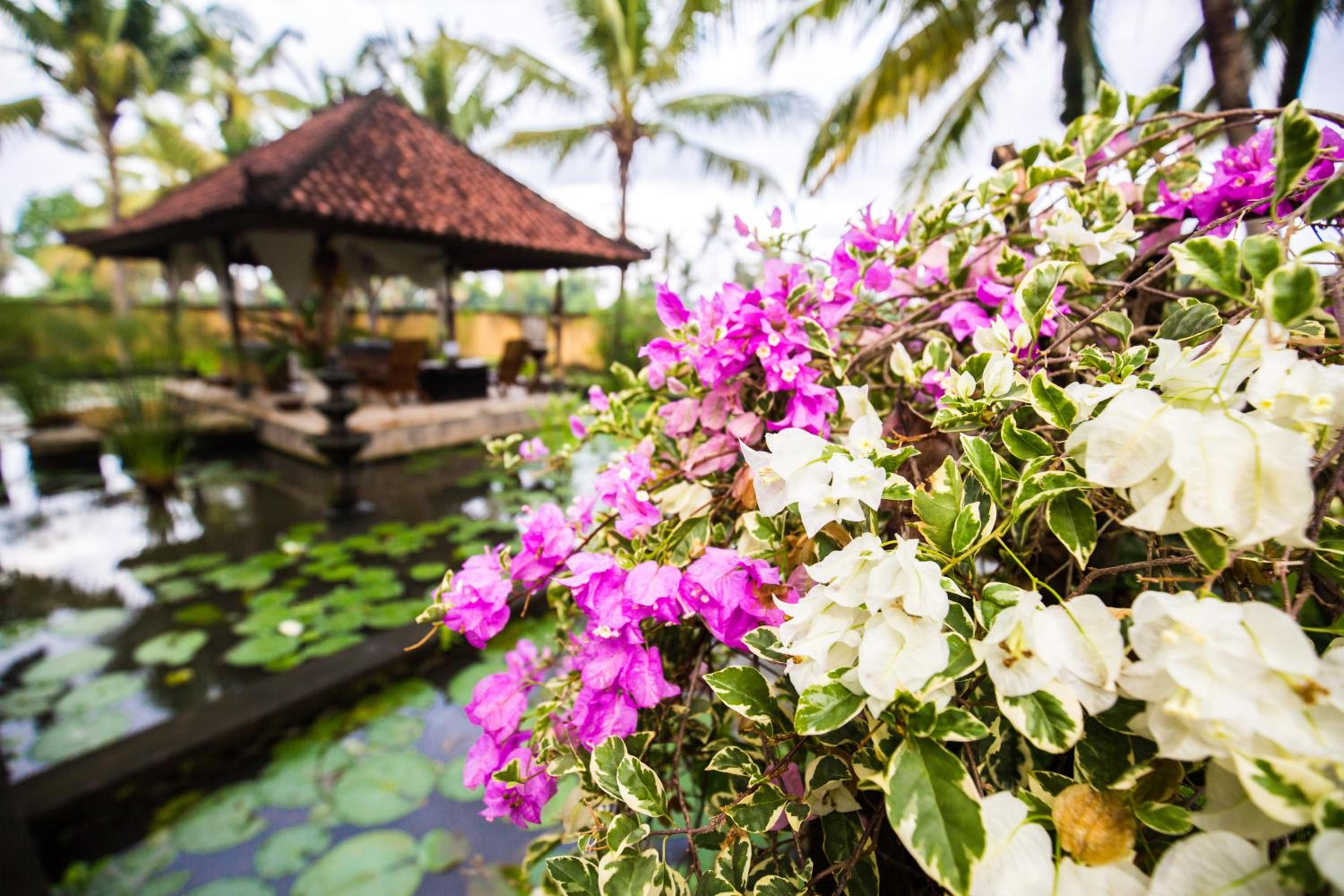 Vision Villa Resort
