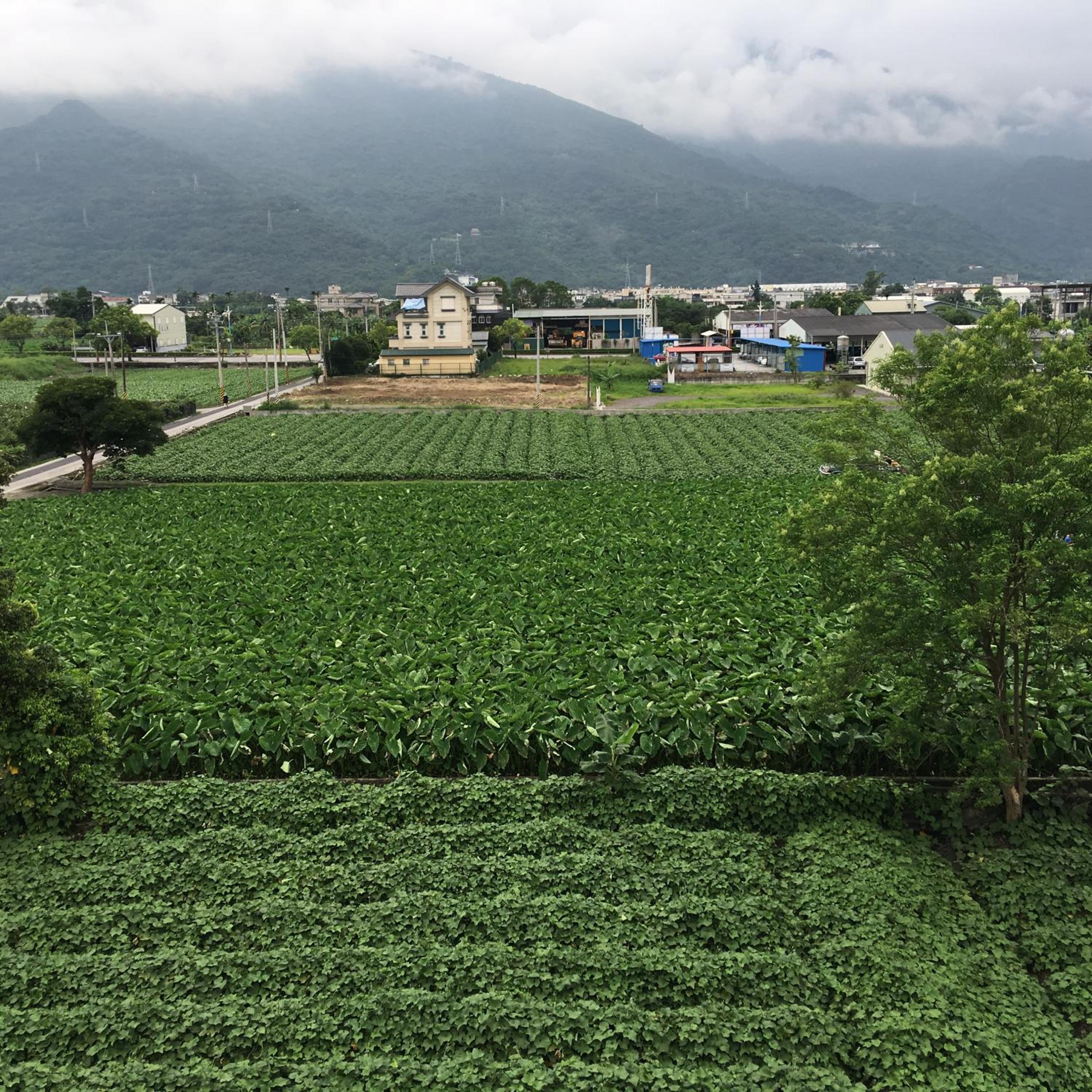Bo Jue Farm Stay