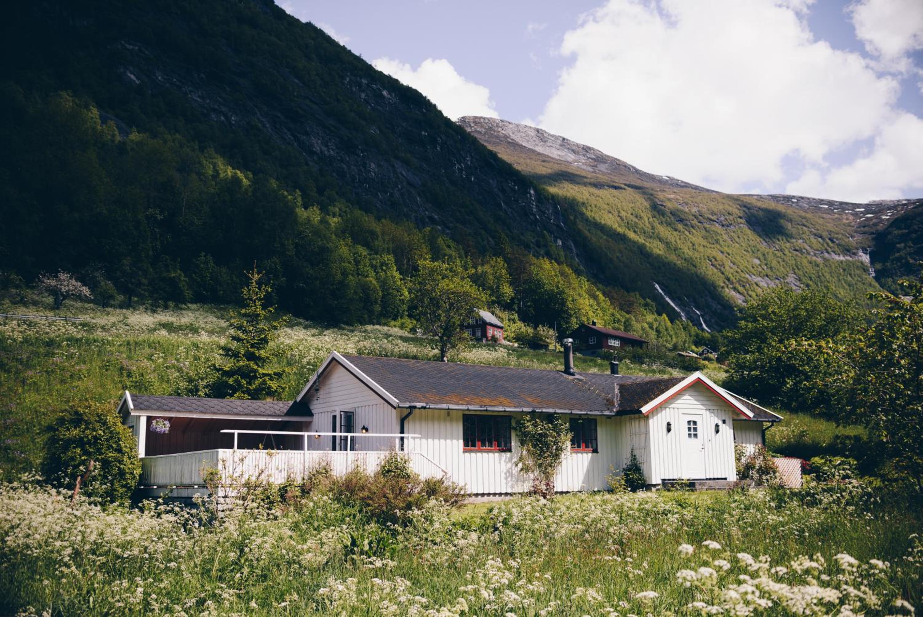 Photo 44