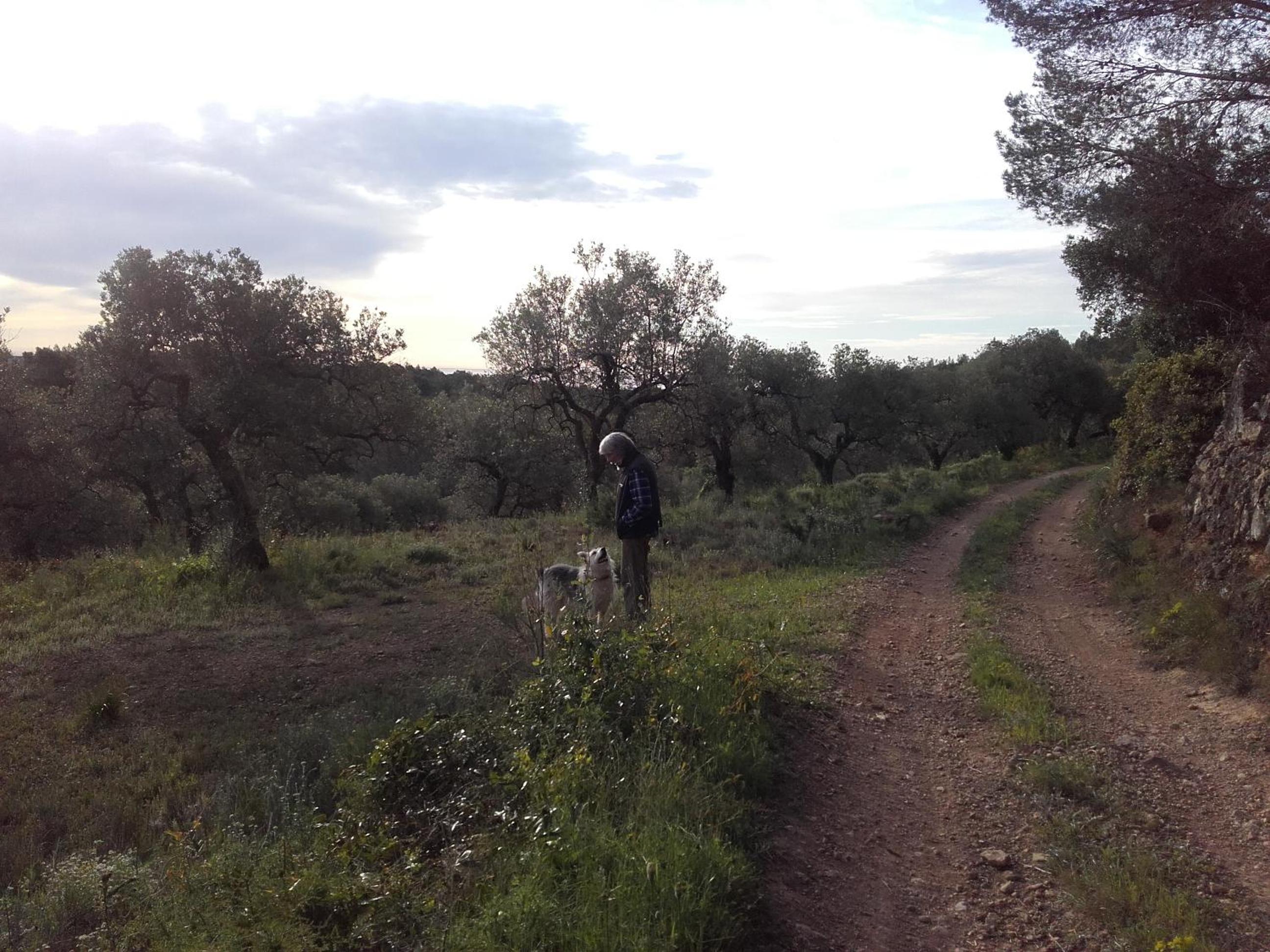 Photo 34