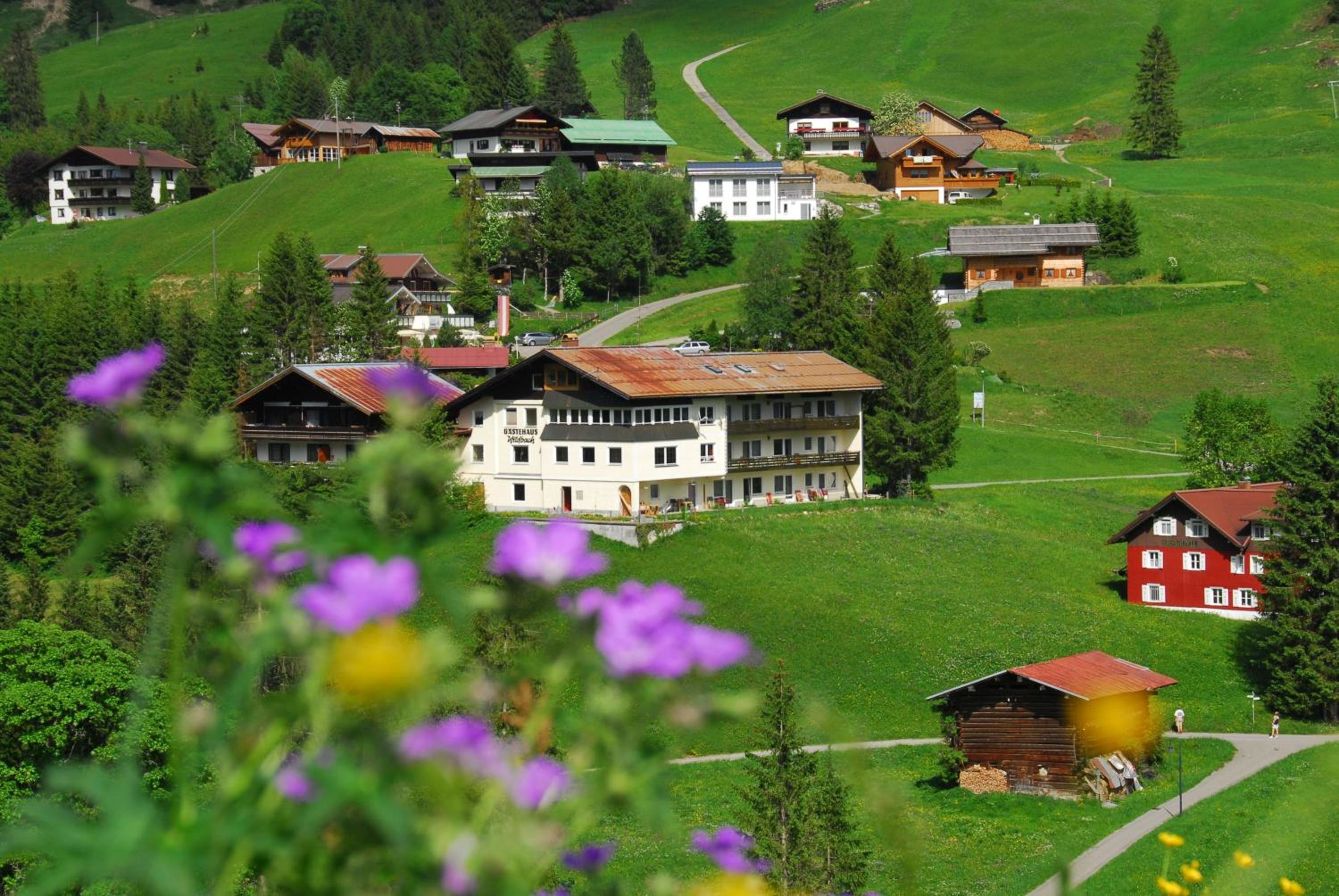 Gästehaus Wildbach
