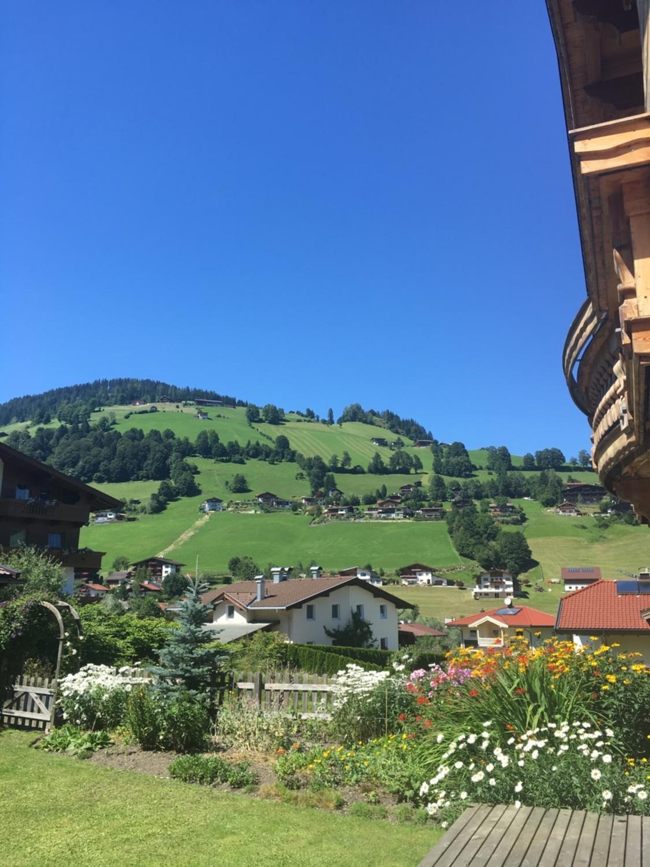 Ado's Haus