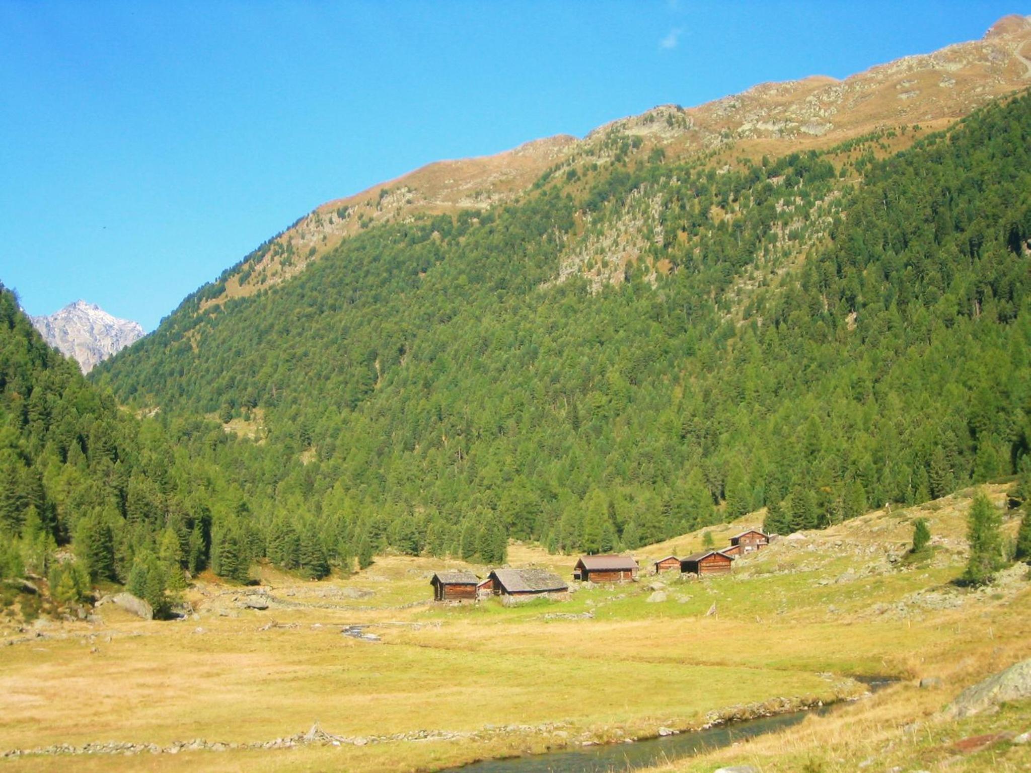 Ledererhof Apartments