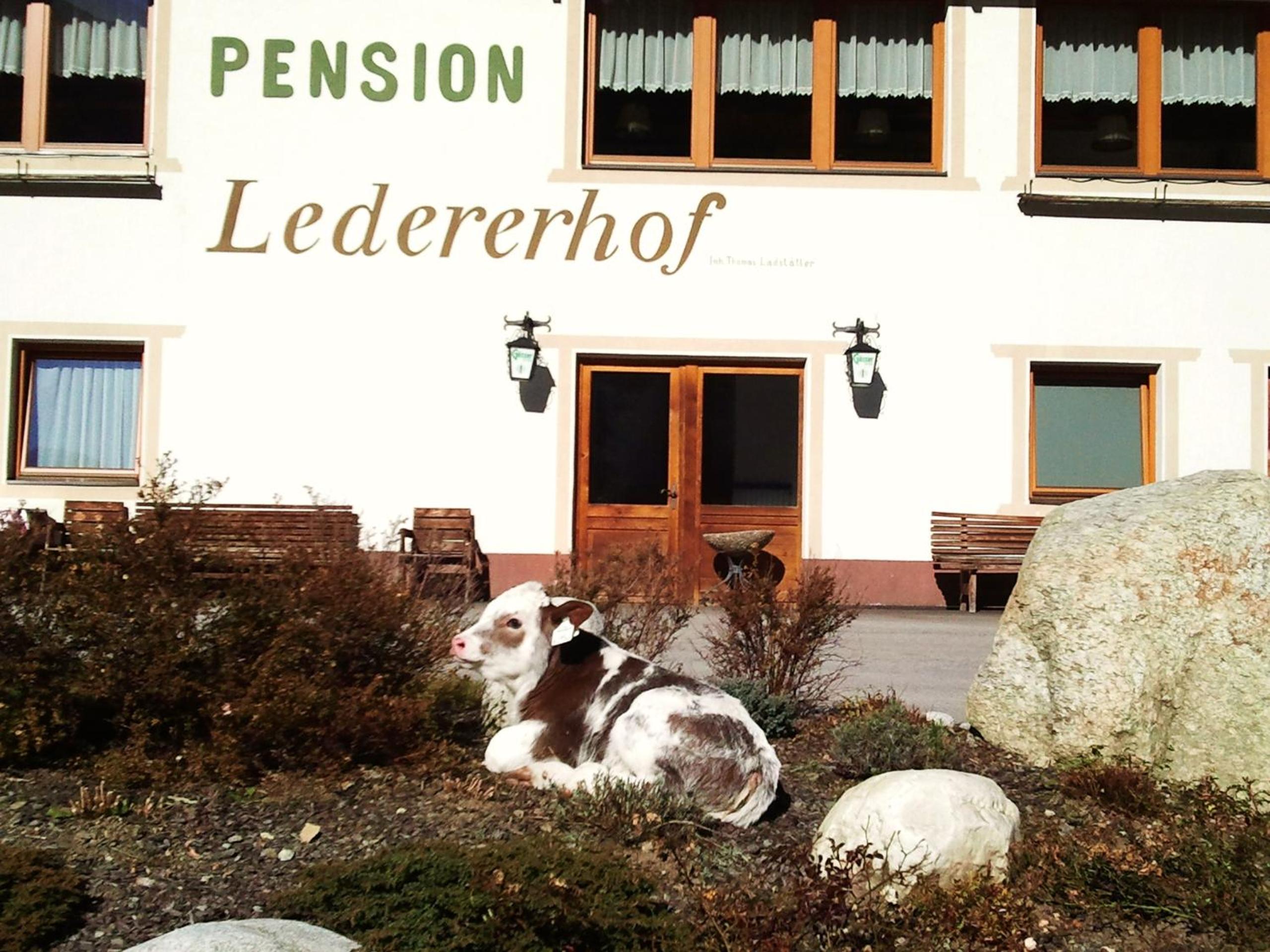 Ledererhof Apartments