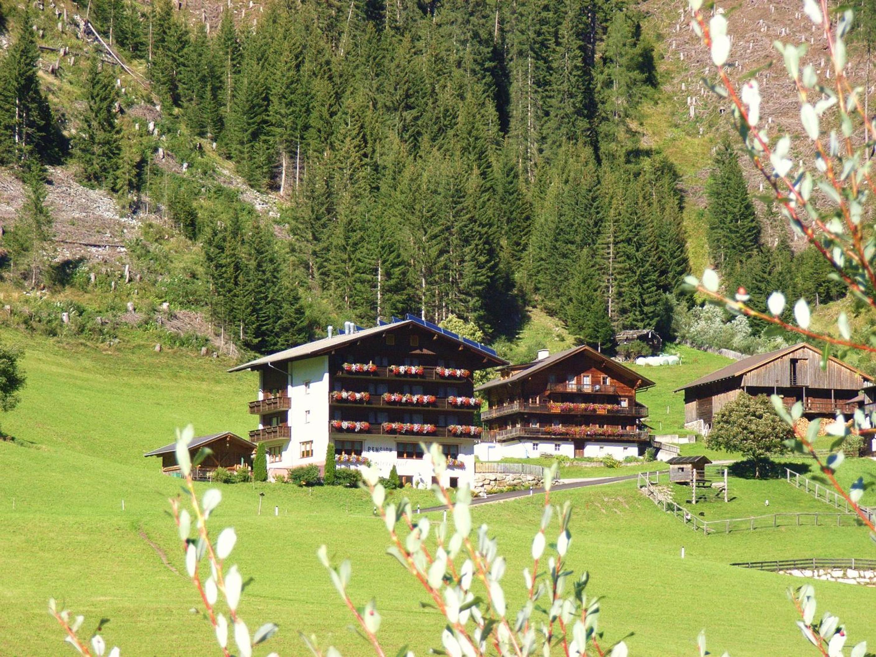 Ledererhof Apartments
