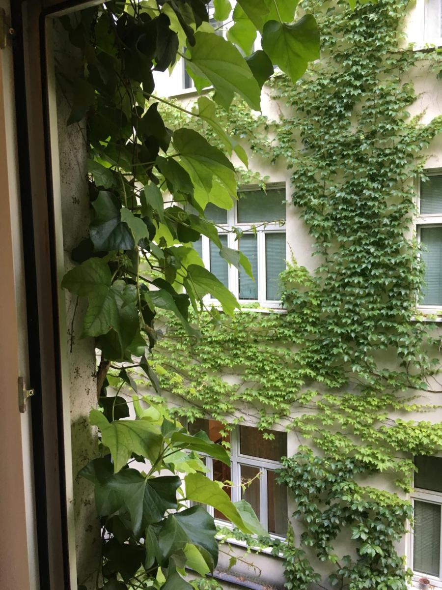Charmante Altbauapartments Apostelgasse