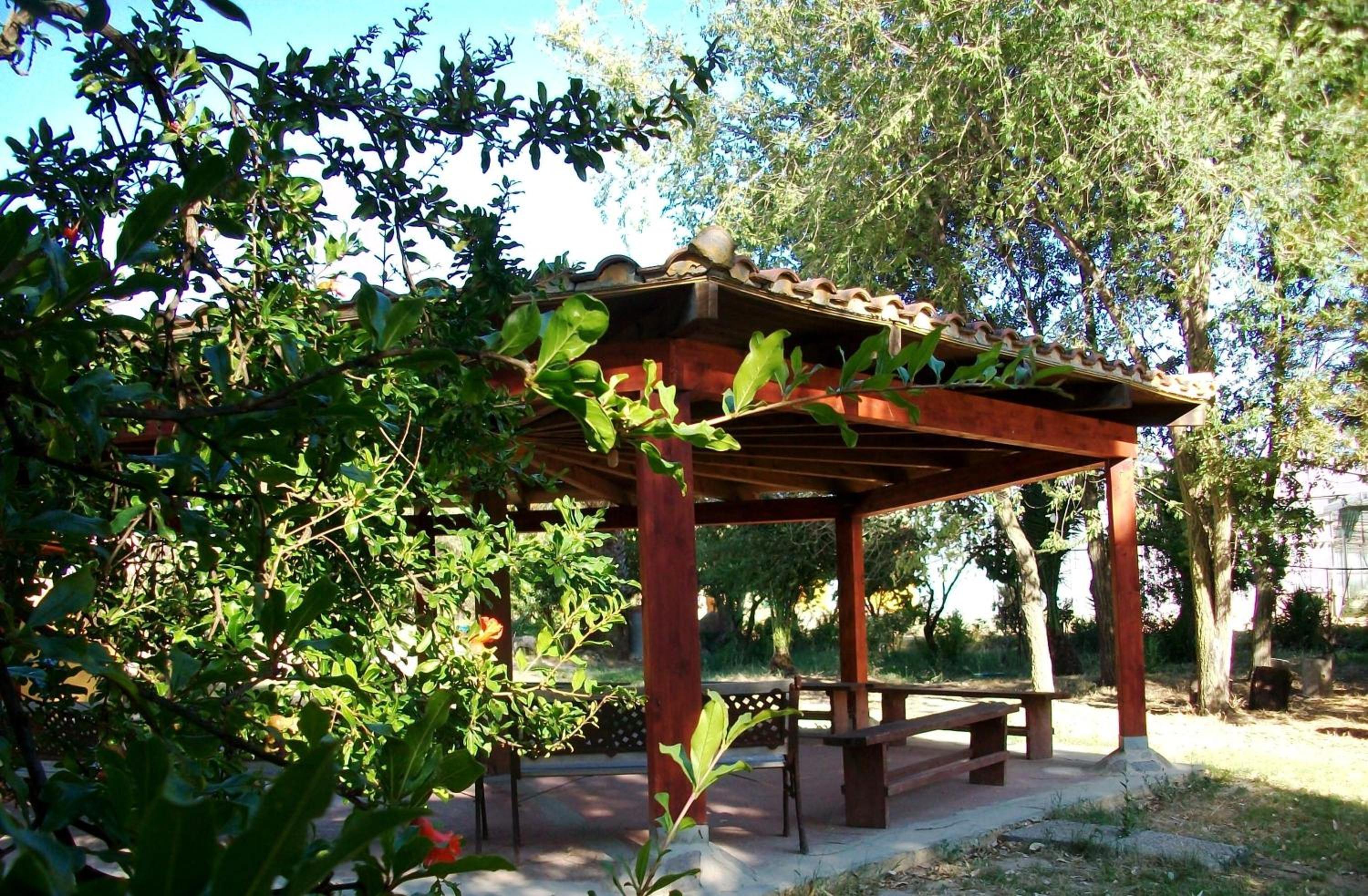 Photo 12