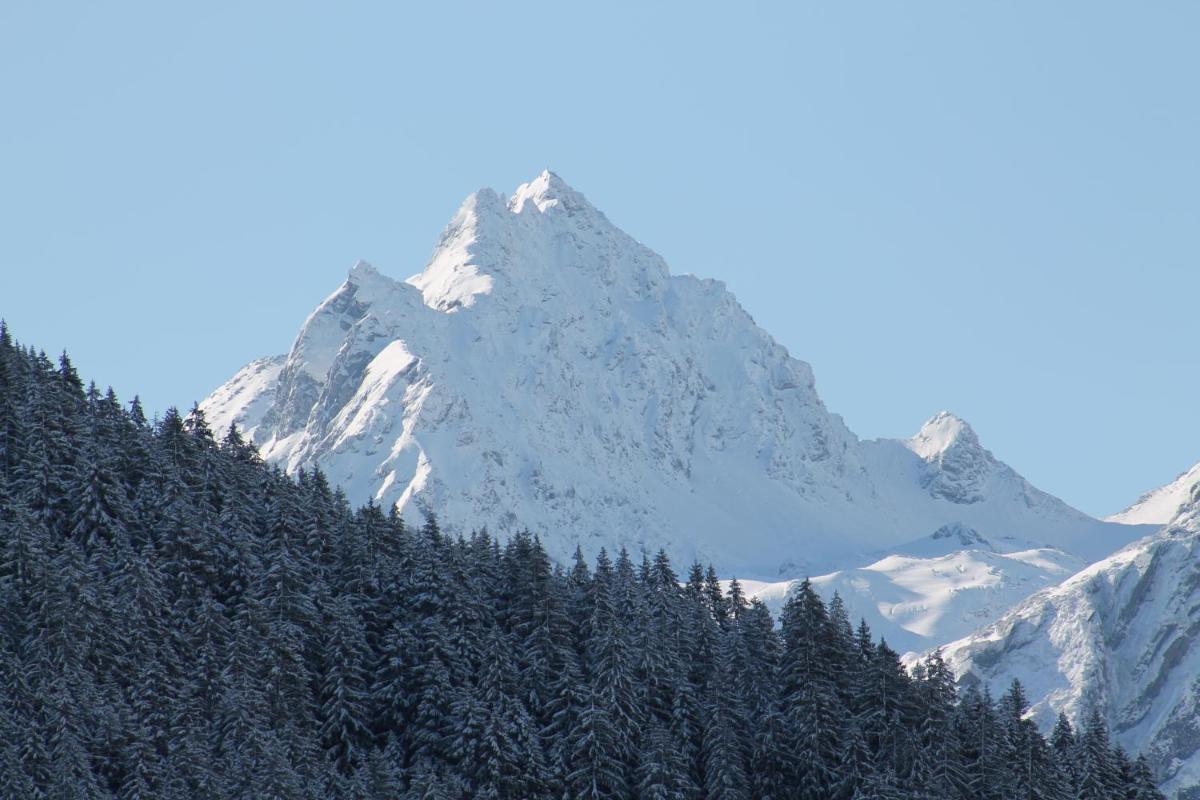 Photo 44