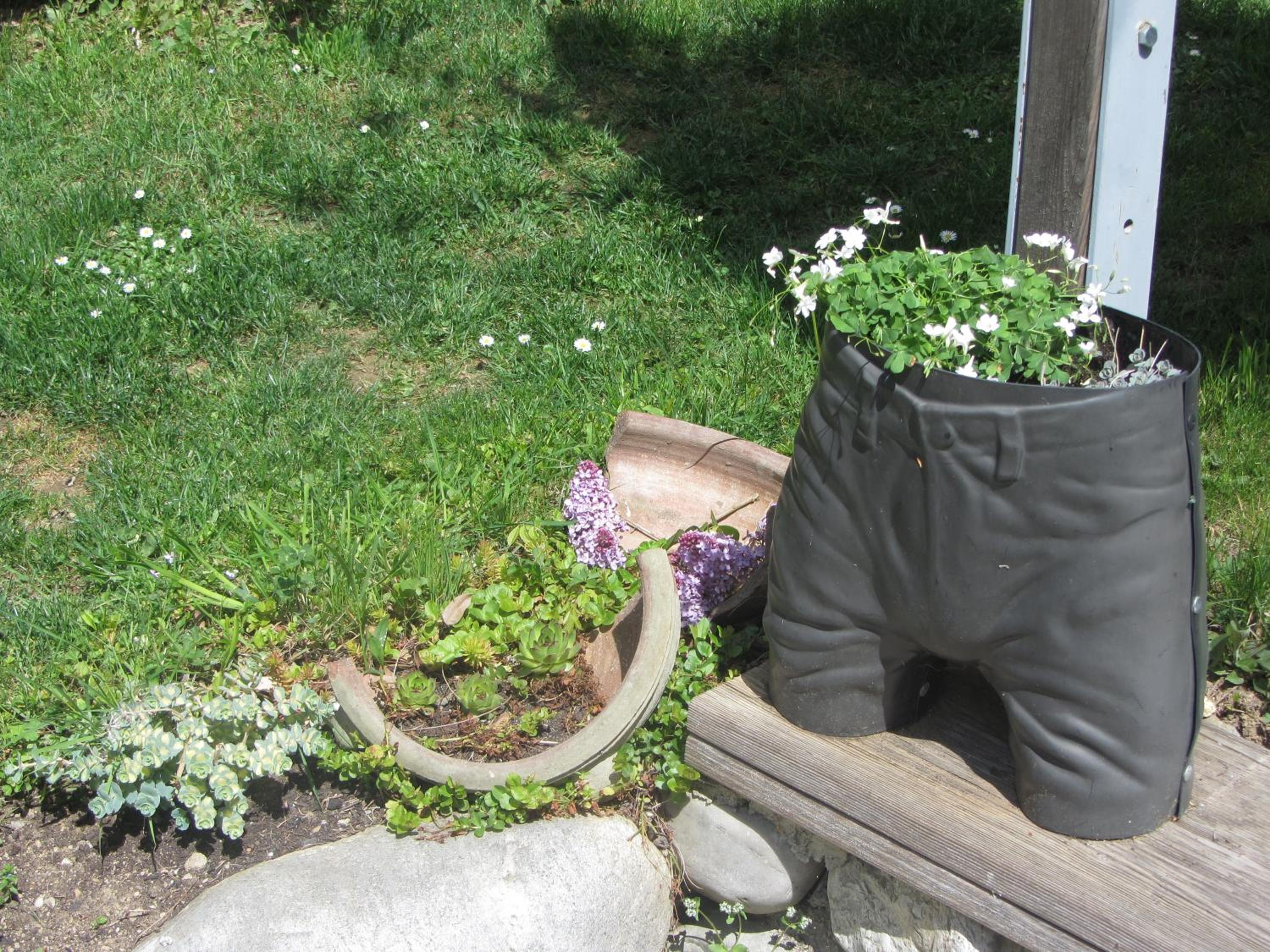 Photo 37