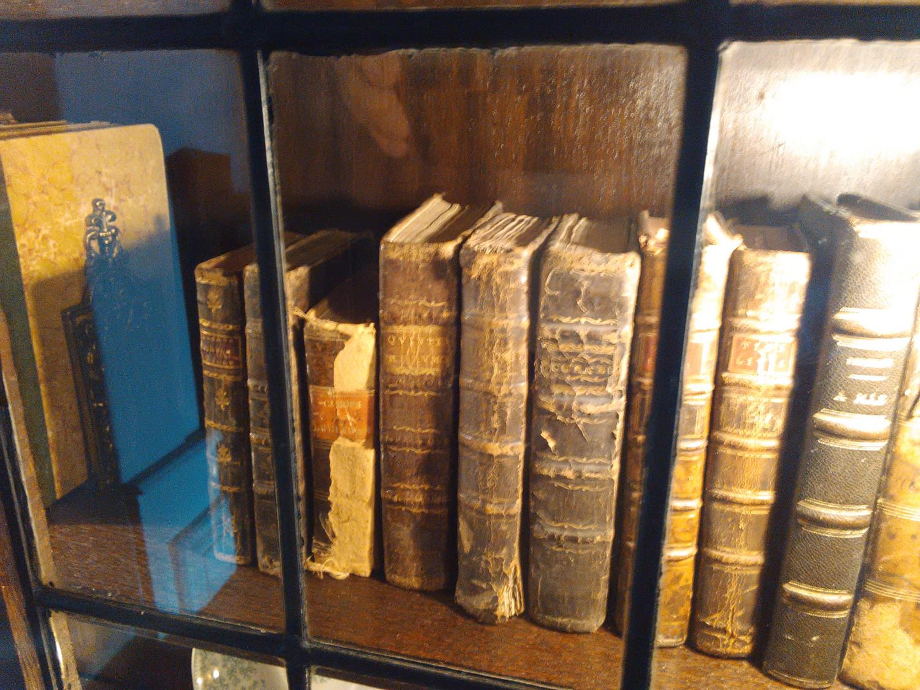 Photo 45