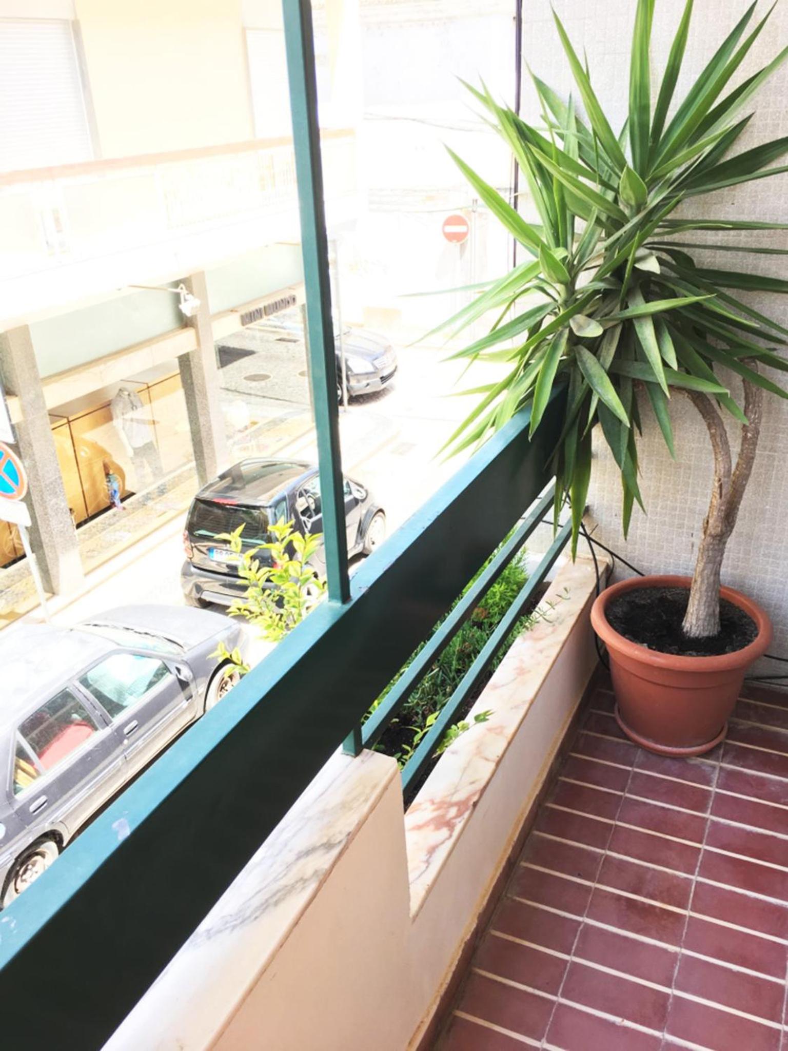 Lemon Tree Apartments