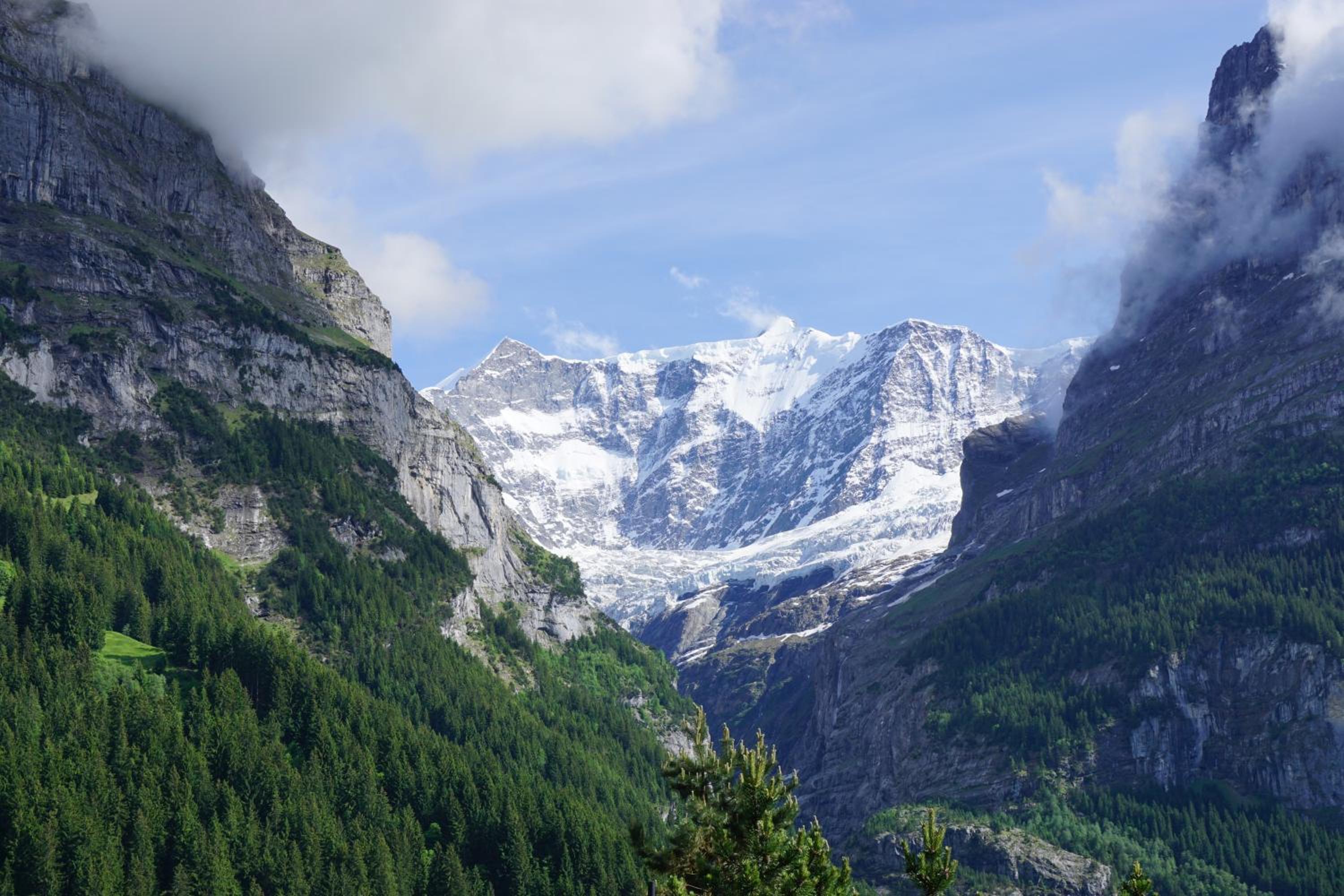 Hotel Alpenblick view 4