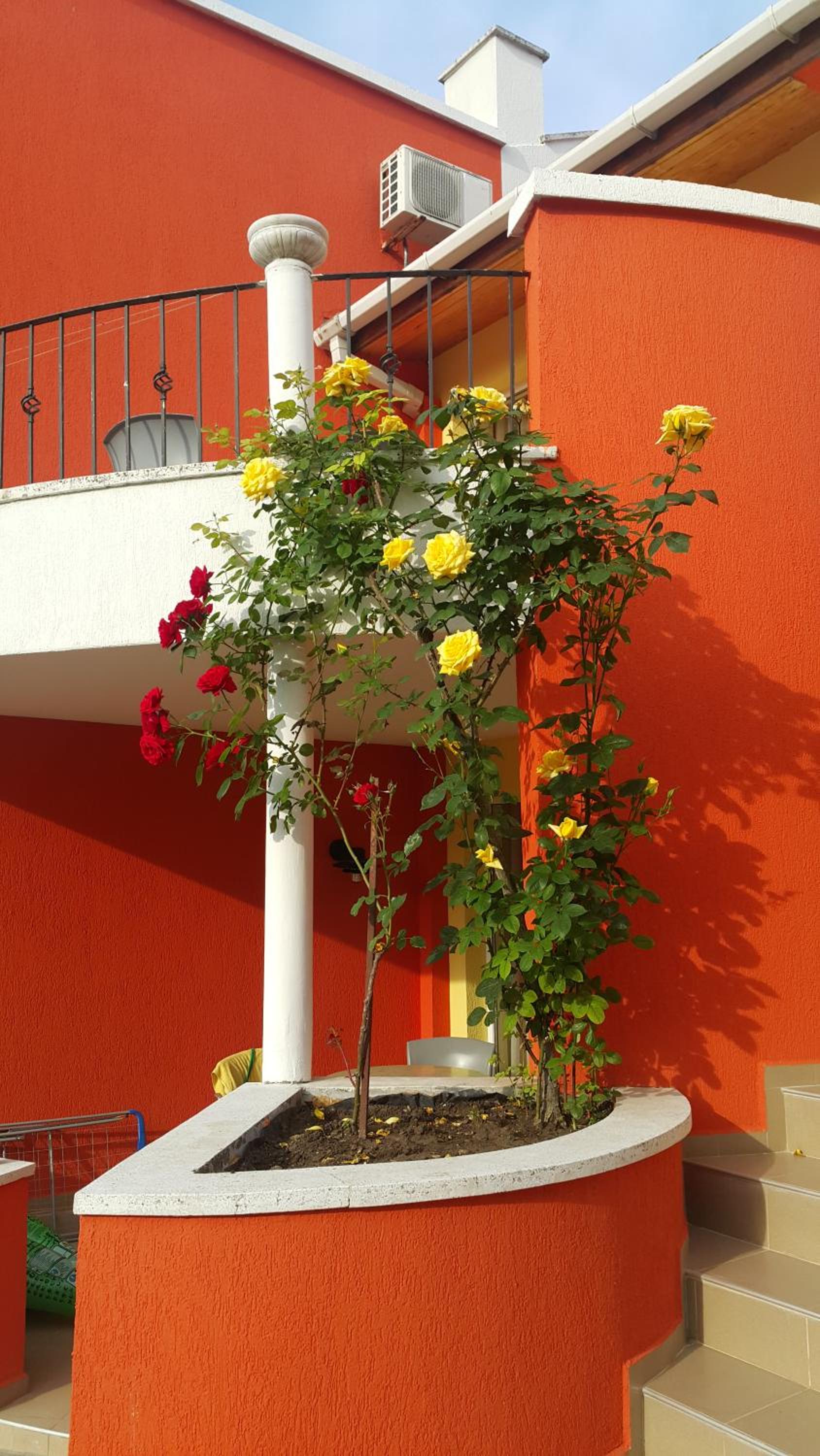 Villa Valentina