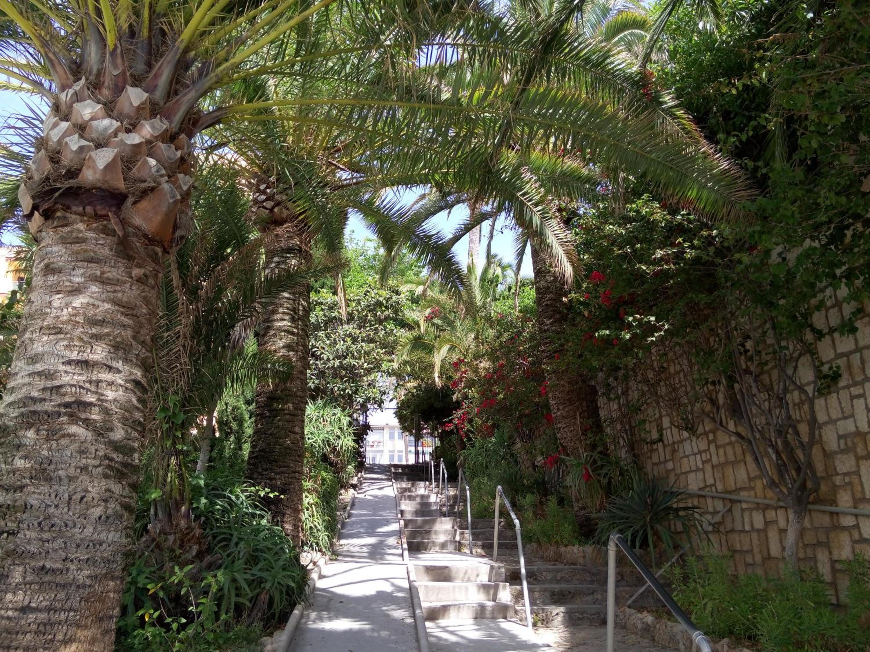 Apartamentos La Roca Rentals