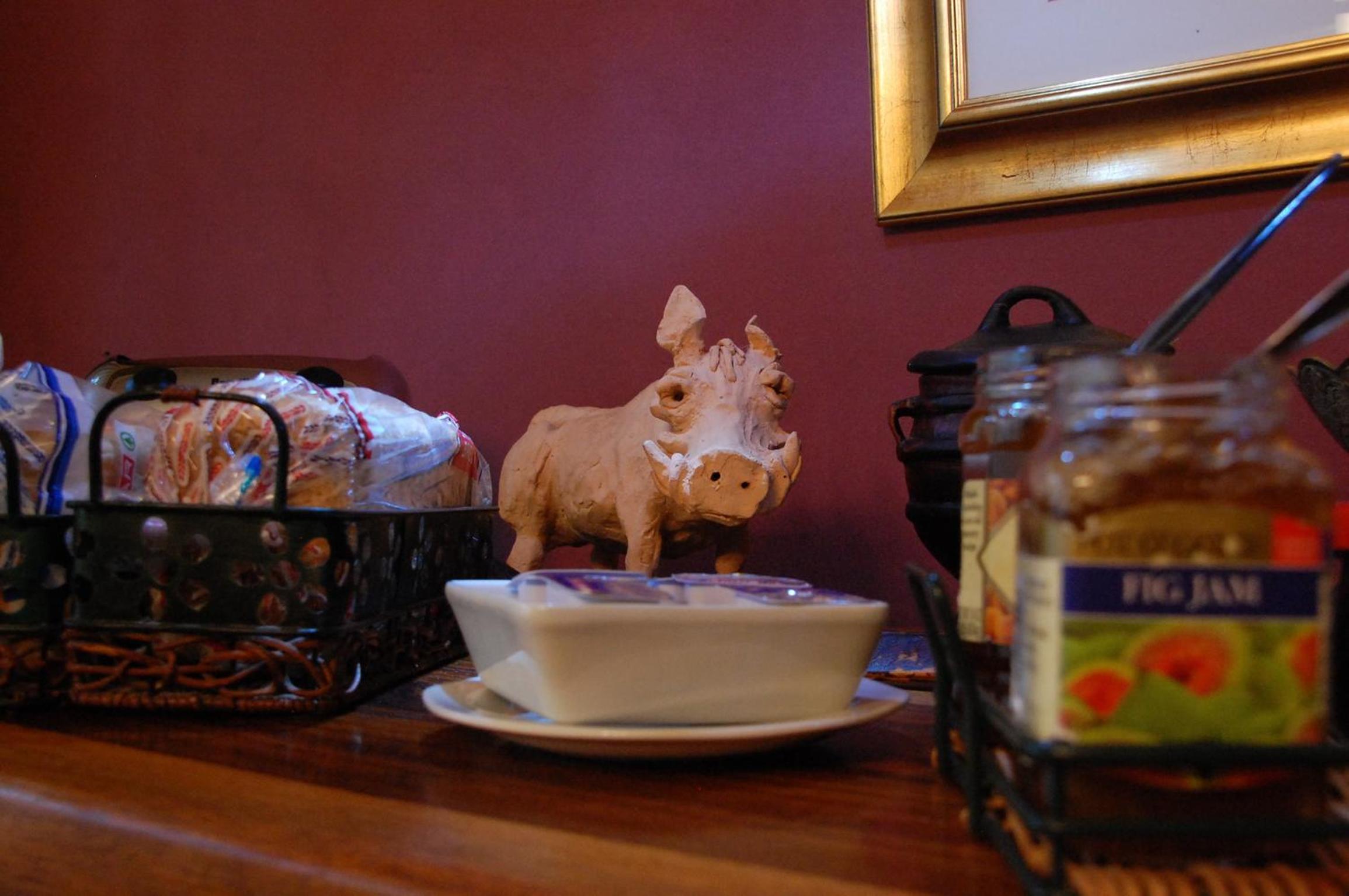 Bush Pillow Guest House