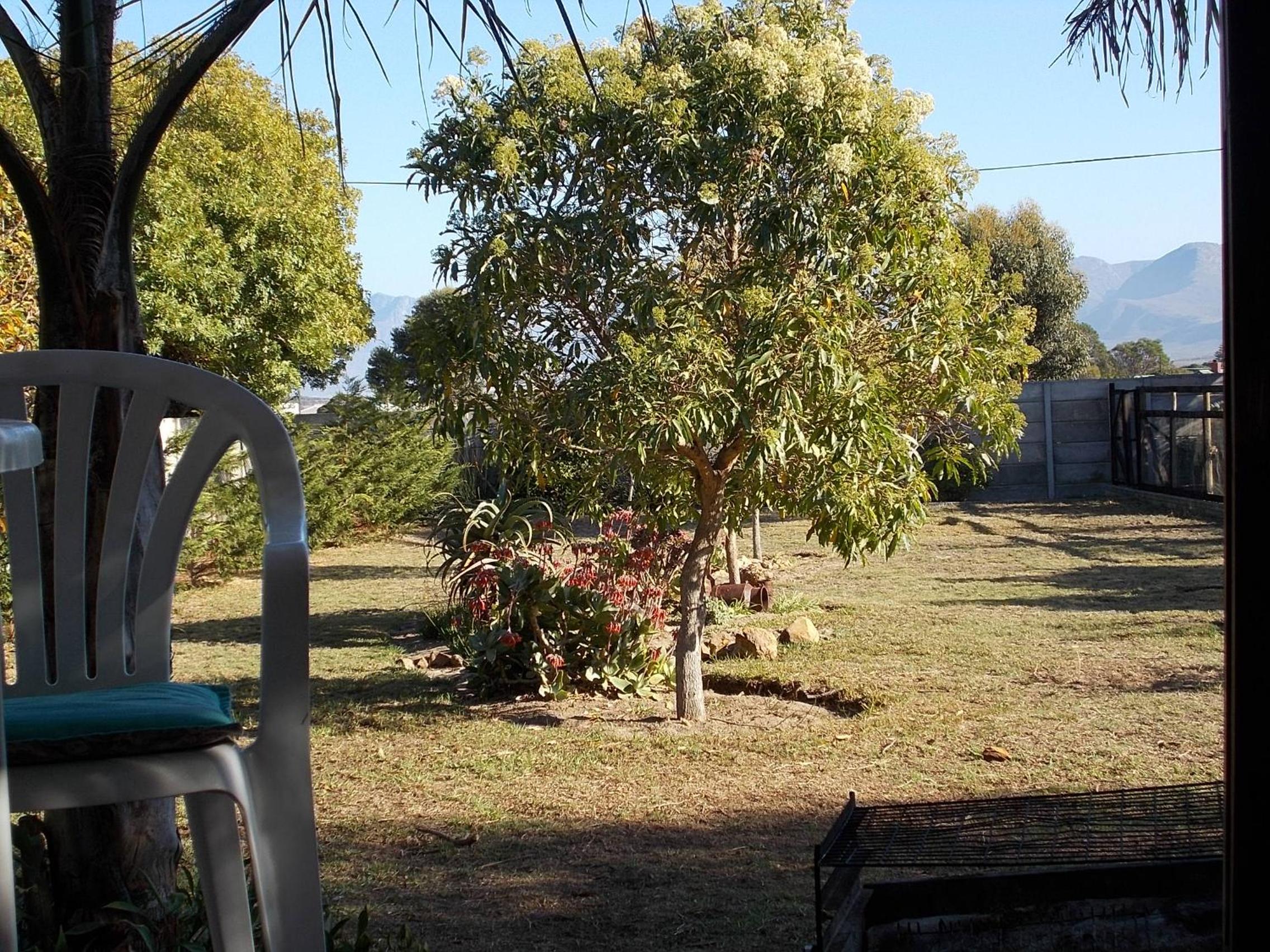 Photo 35