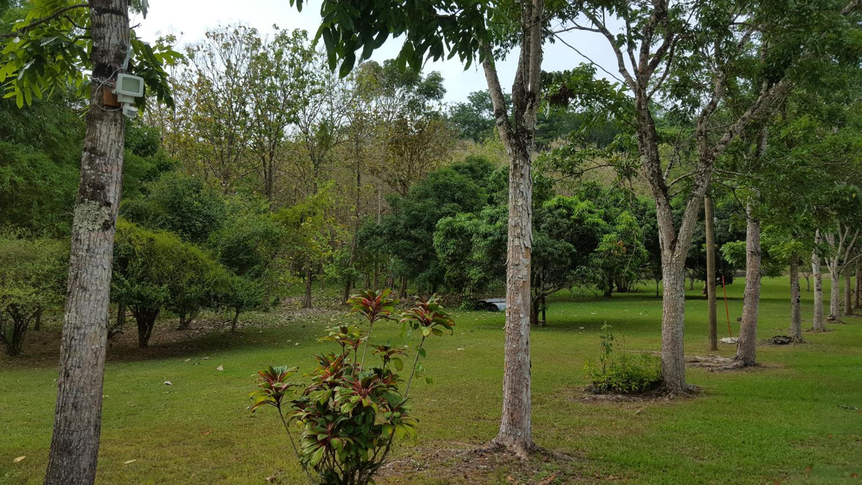 Mahogany Villas