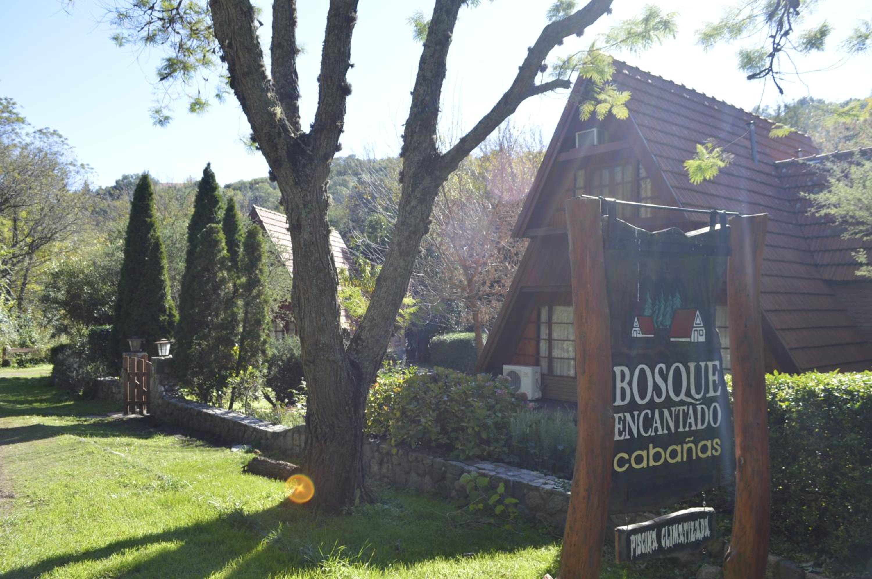 Hotel Cabañas Bosque Encantado - Image 1