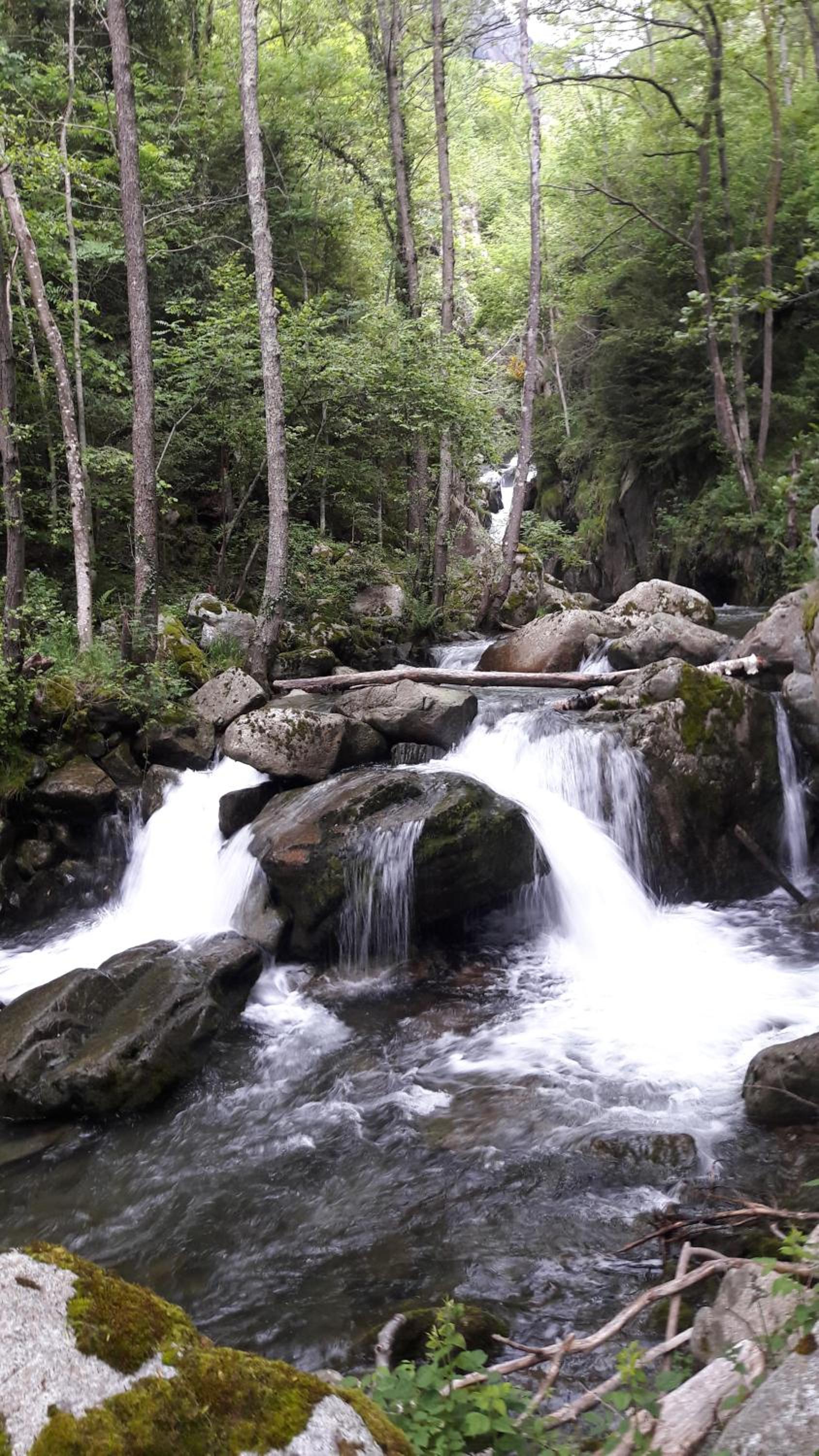 Rural L'Ortiga Blanca photo 3
